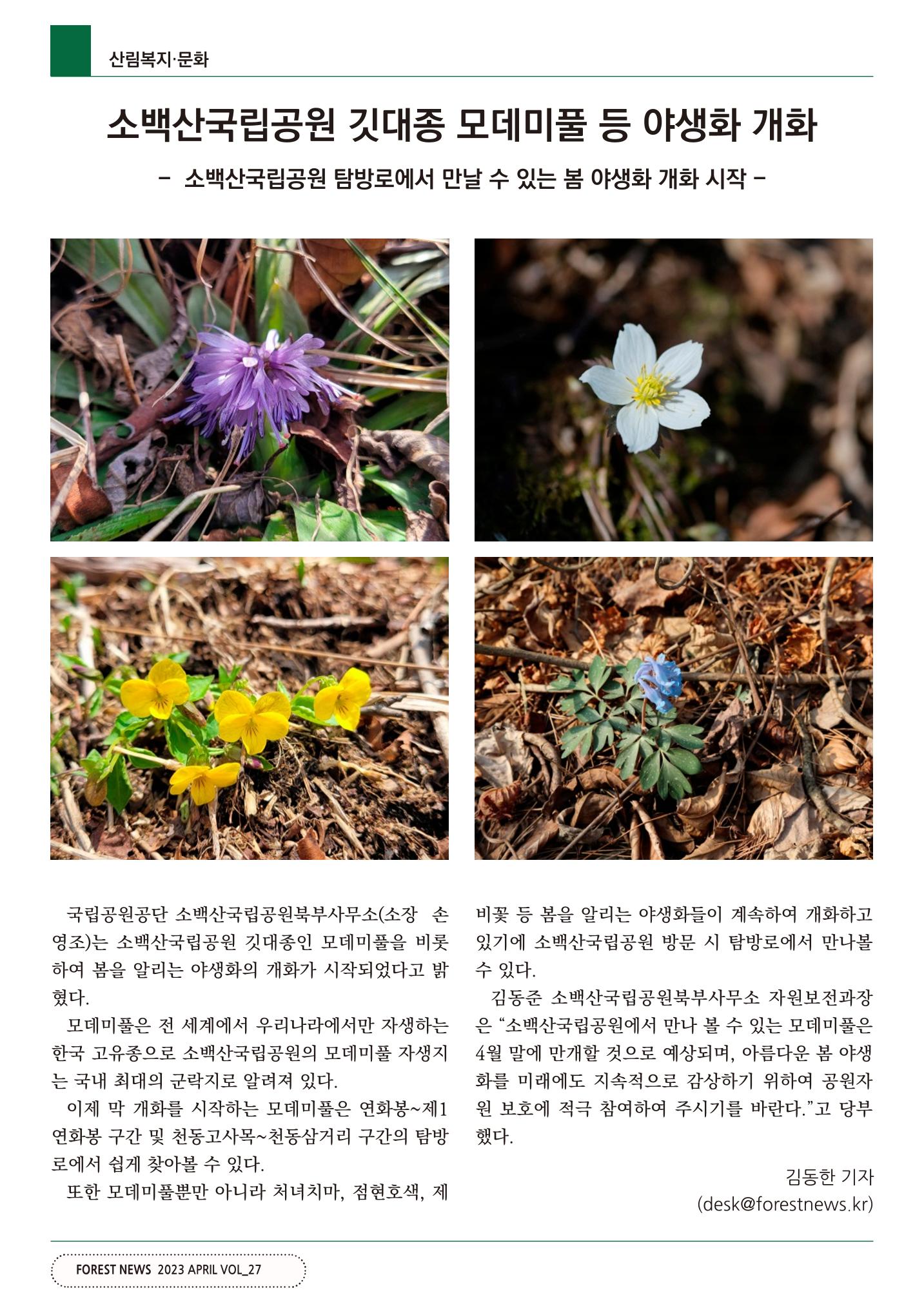 산림신문 (2023.04.24) 48페이지