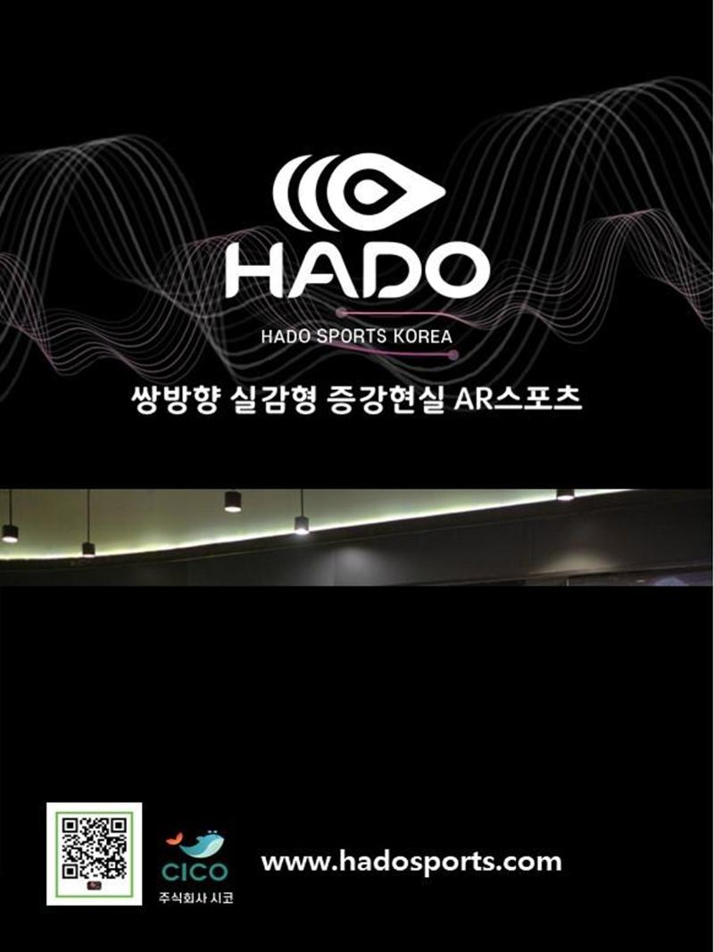 HADO AR스포츠를 한 눈으로 보기(AR피구) 1페이지