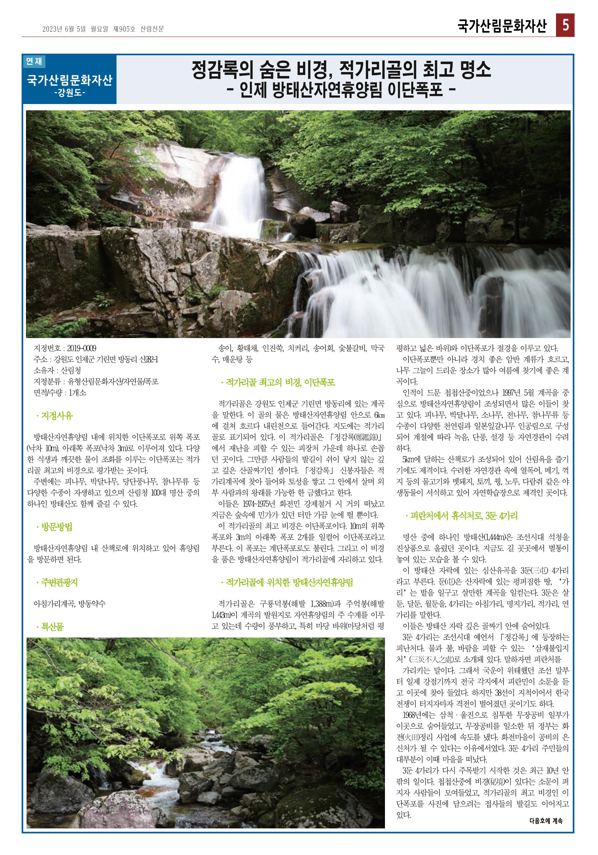 산림환경신문 905호 (2023.06.05) 11페이지