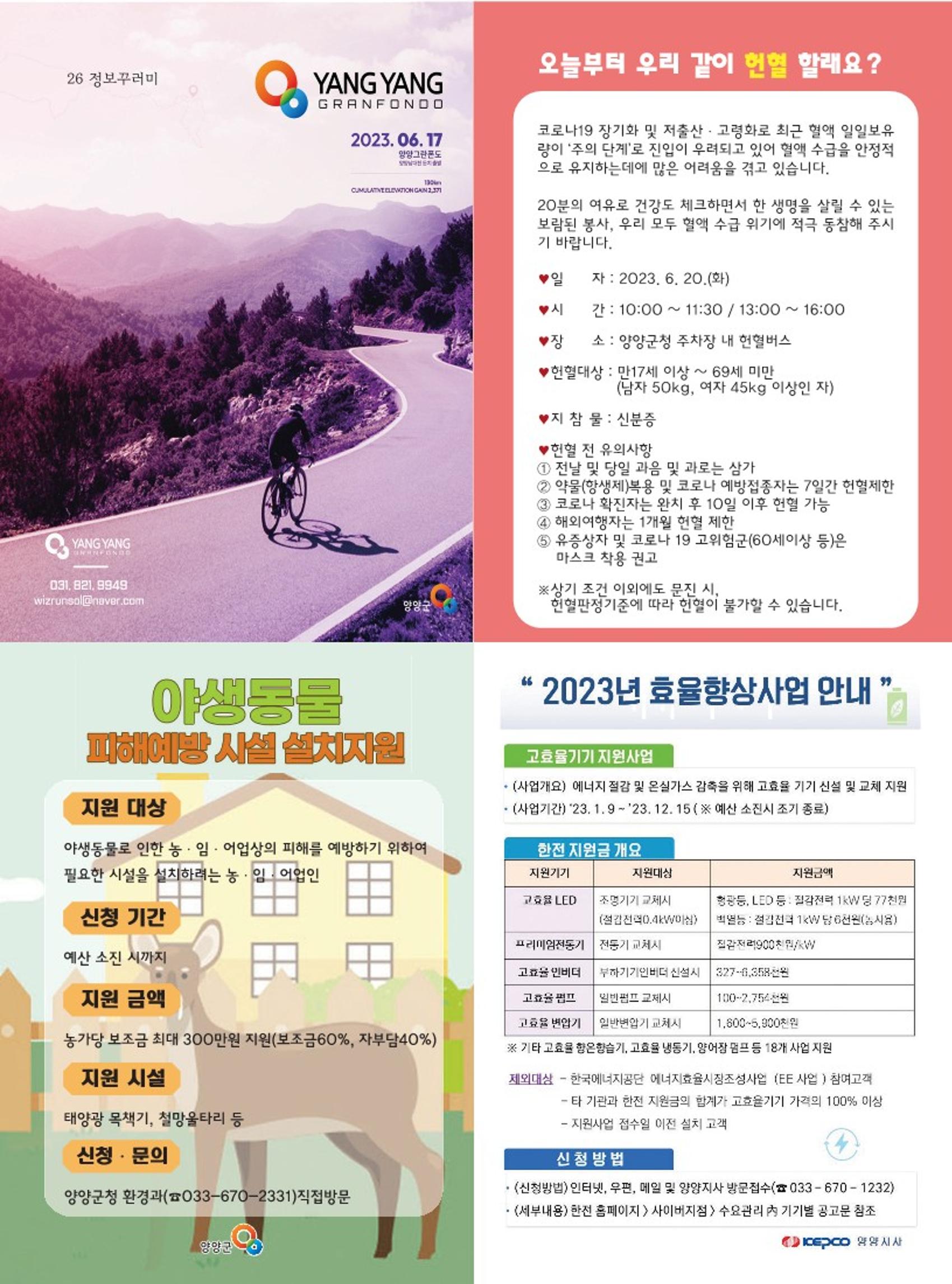 양양소식지 2023. 6월호 26페이지
