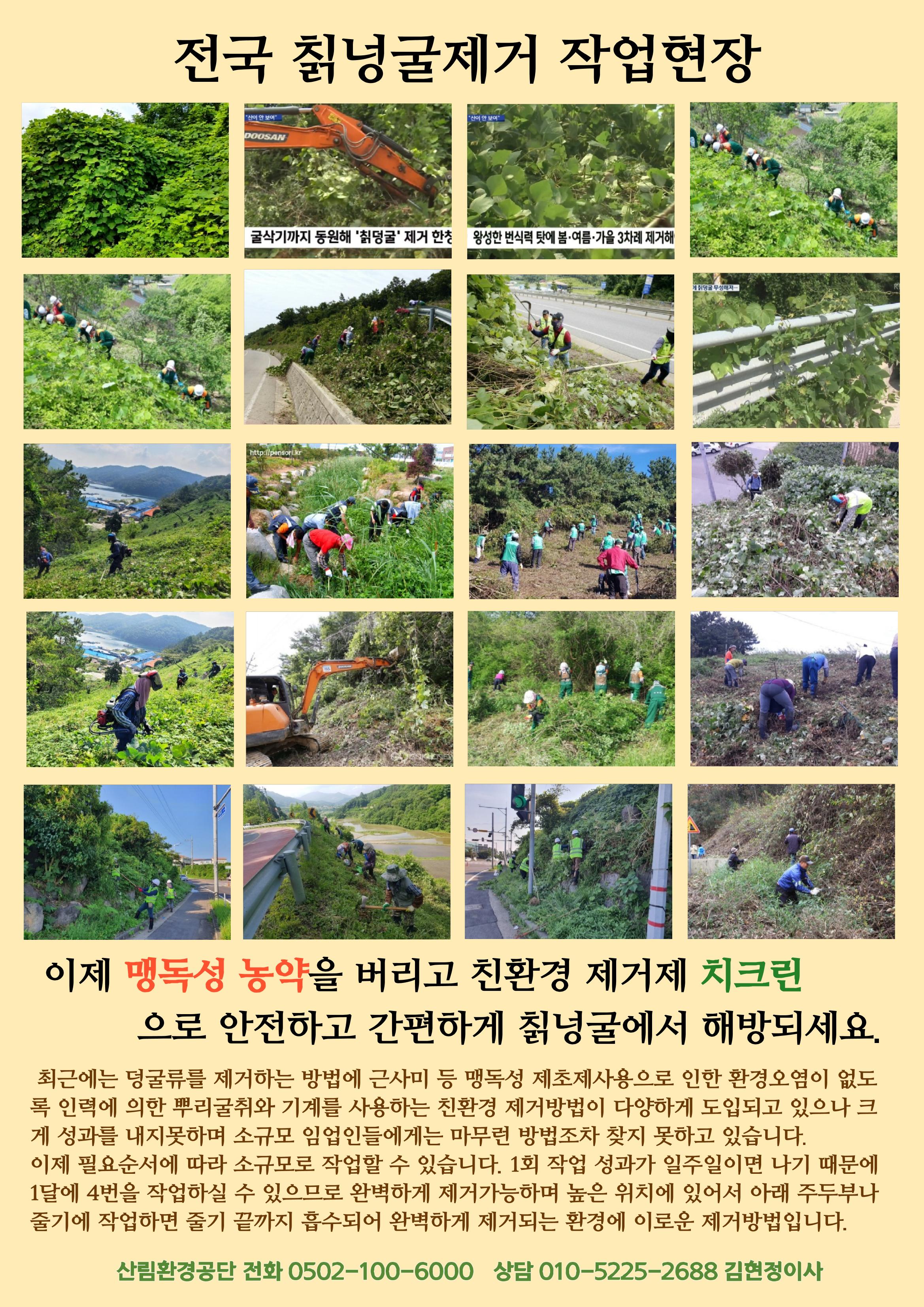 칡넝굴제거에 친환경공법으로 특허등록 4페이지