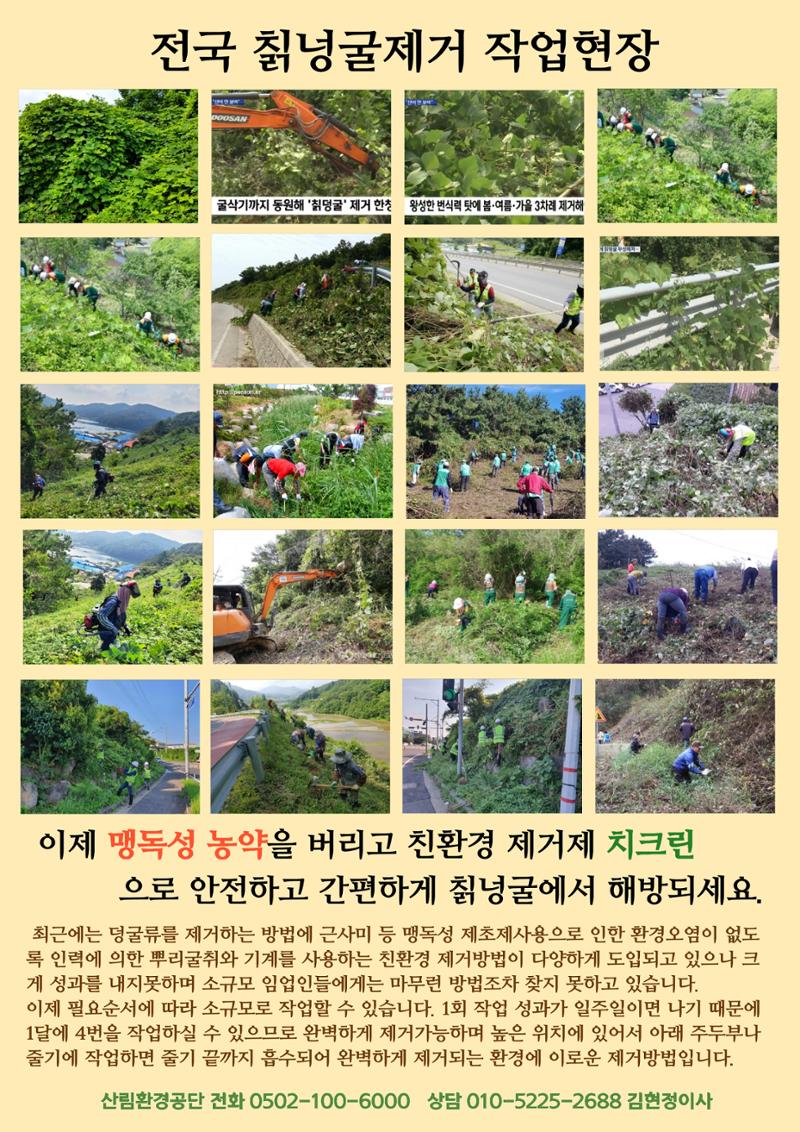 칡넝굴제거에 친환경공법으로 특허등록 4페이지