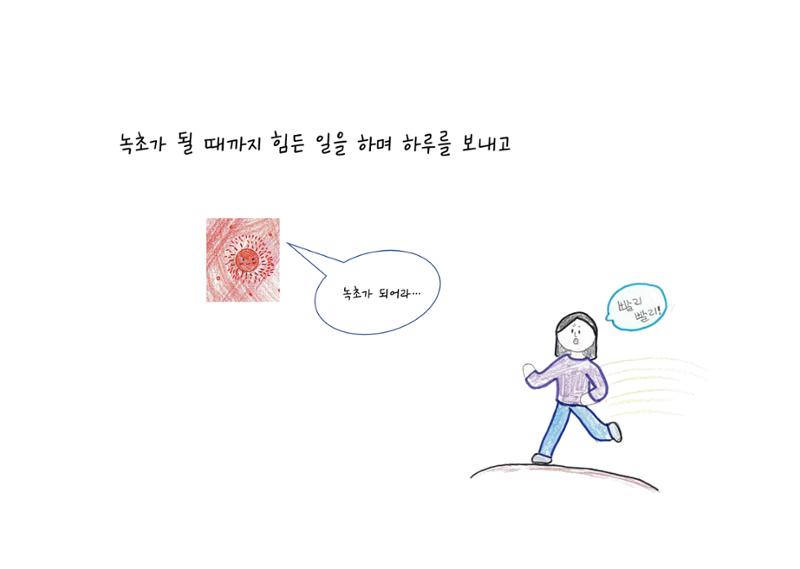 단점을 파는 가게 15페이지
