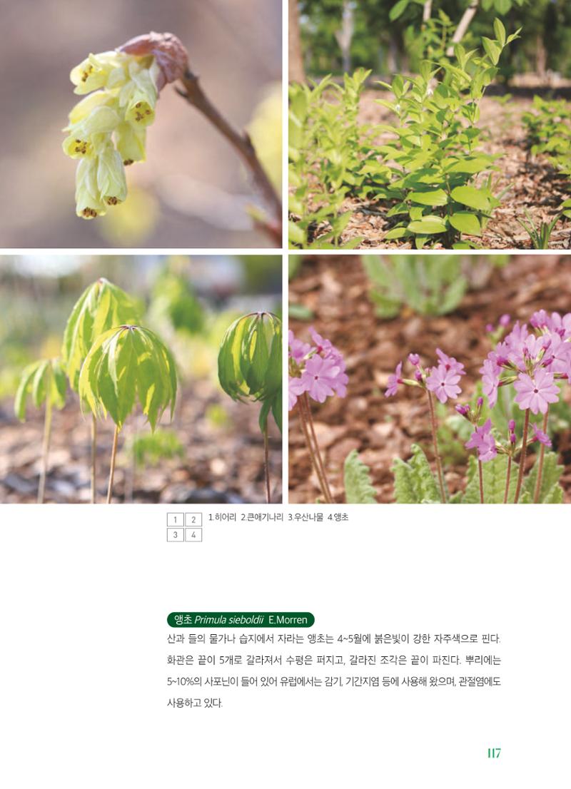 수원 일월수목원 조성사업 백서웘 119페이지