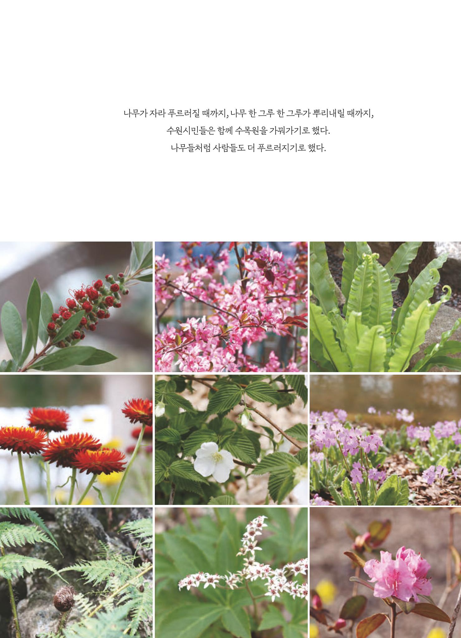 수원 일월수목원 조성사업 백서웘 255페이지