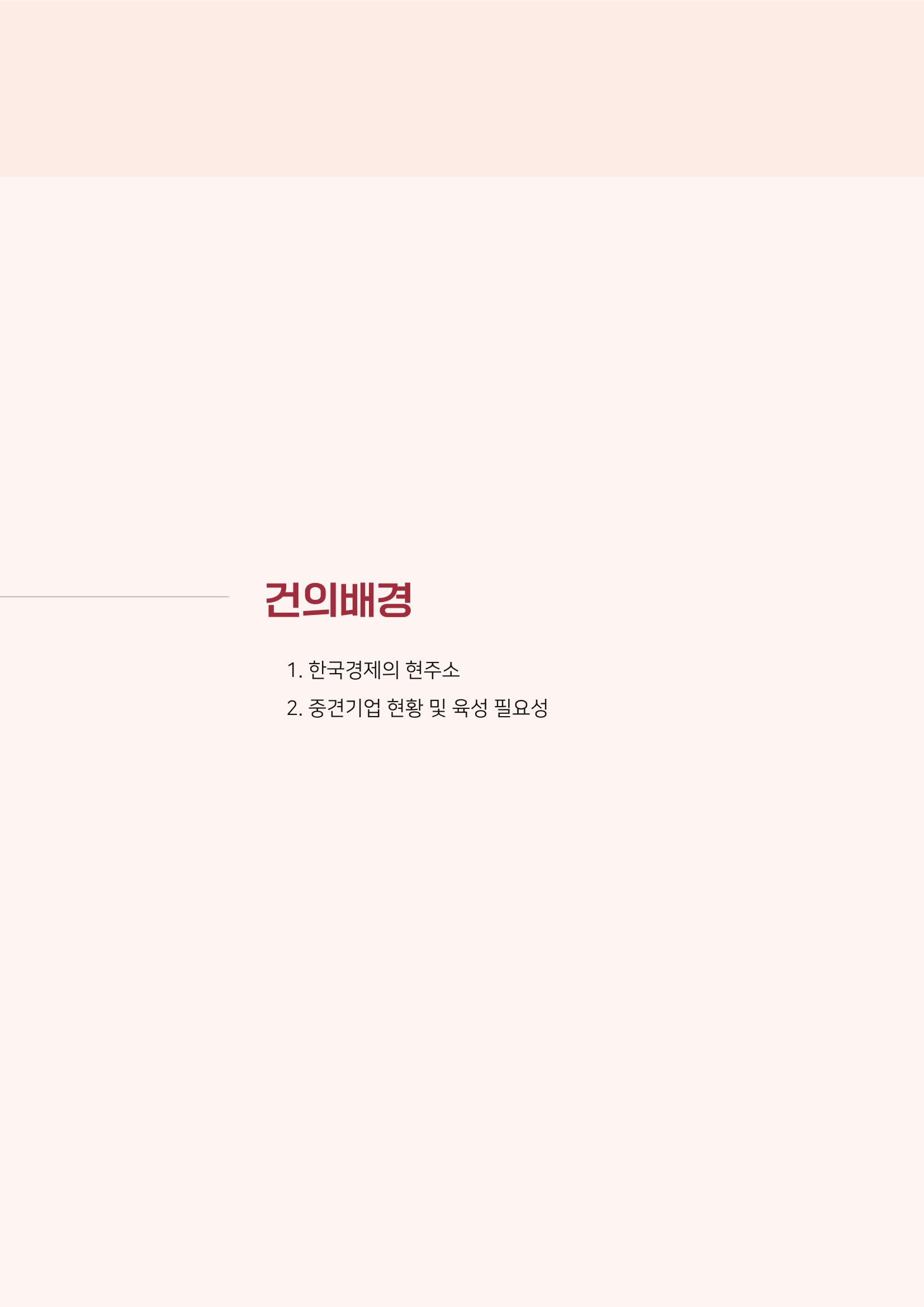 경제 재도약을 위한 차기 정부 정책 제언 11페이지