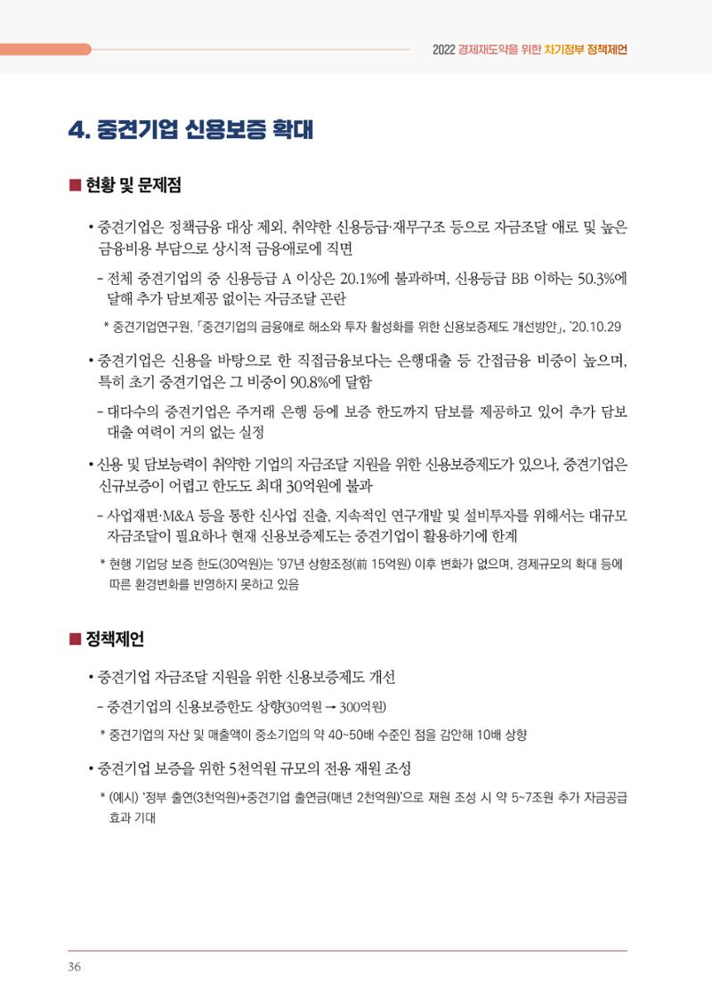 경제 재도약을 위한 차기 정부 정책 제언 36페이지