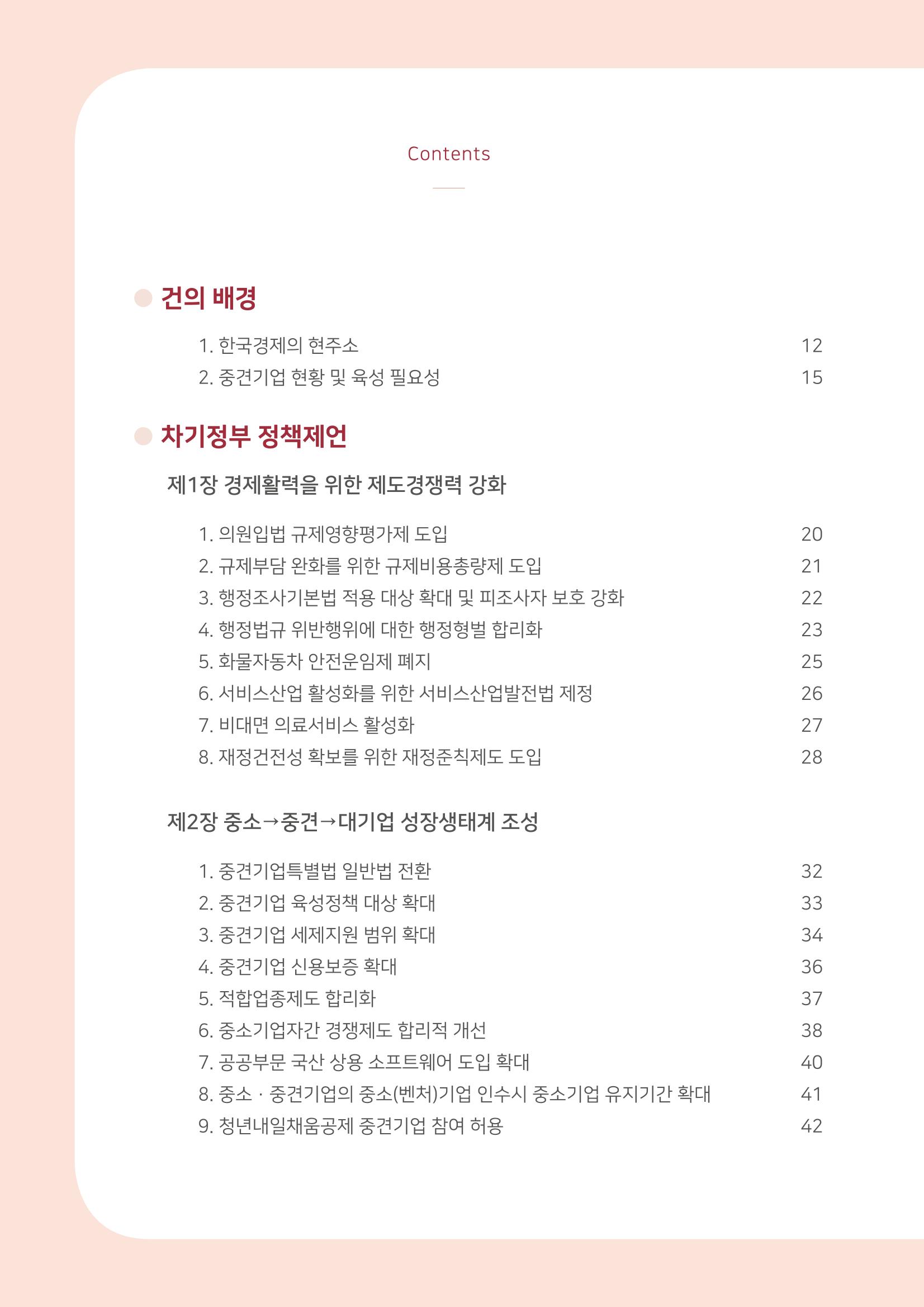 경제 재도약을 위한 차기 정부 정책 제언 6페이지