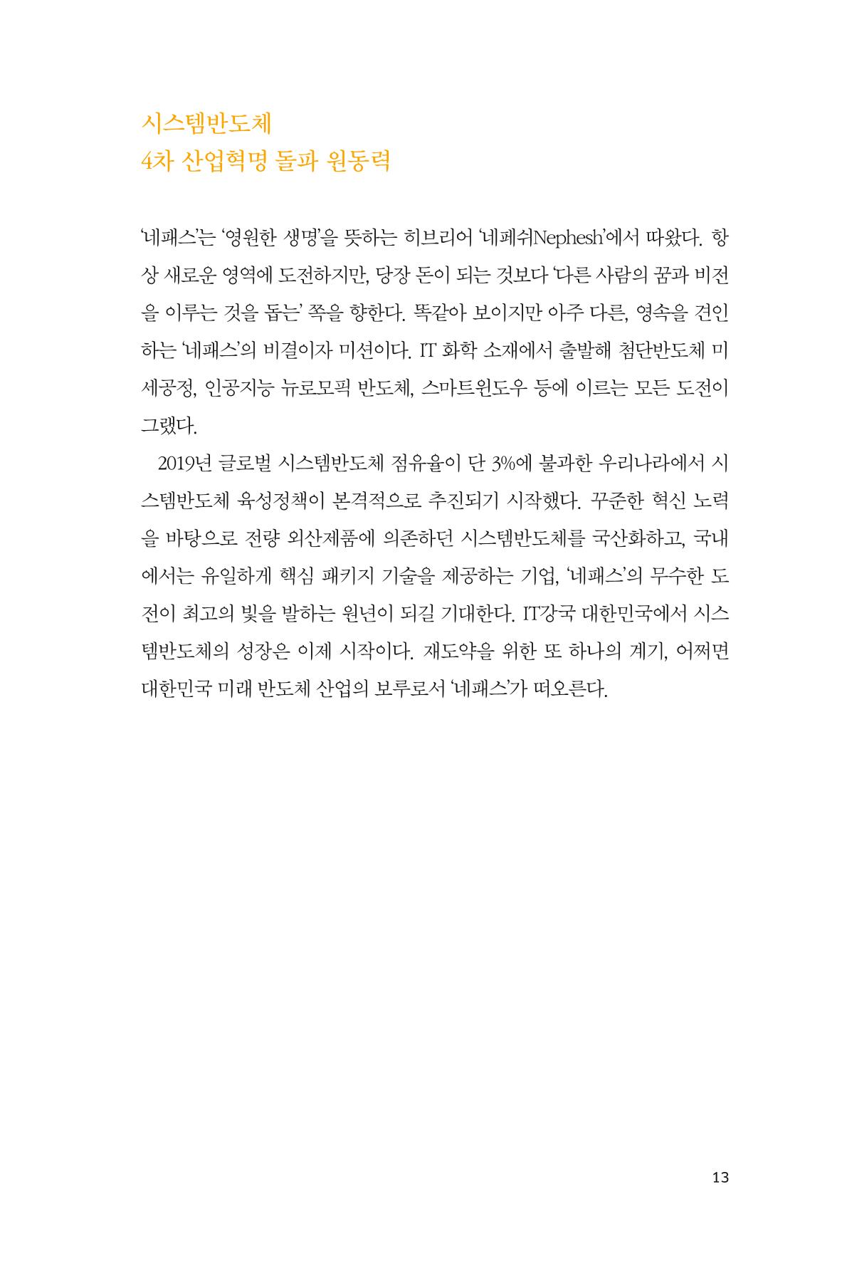 25. 네패스 13페이지