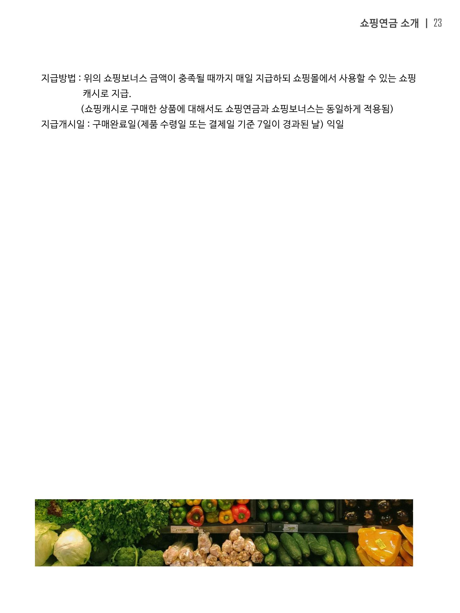 쇼핑연금백서 23페이지