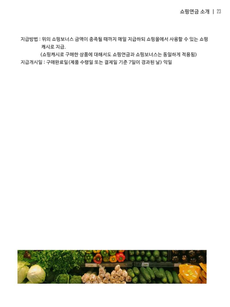 쇼핑연금백서 23페이지