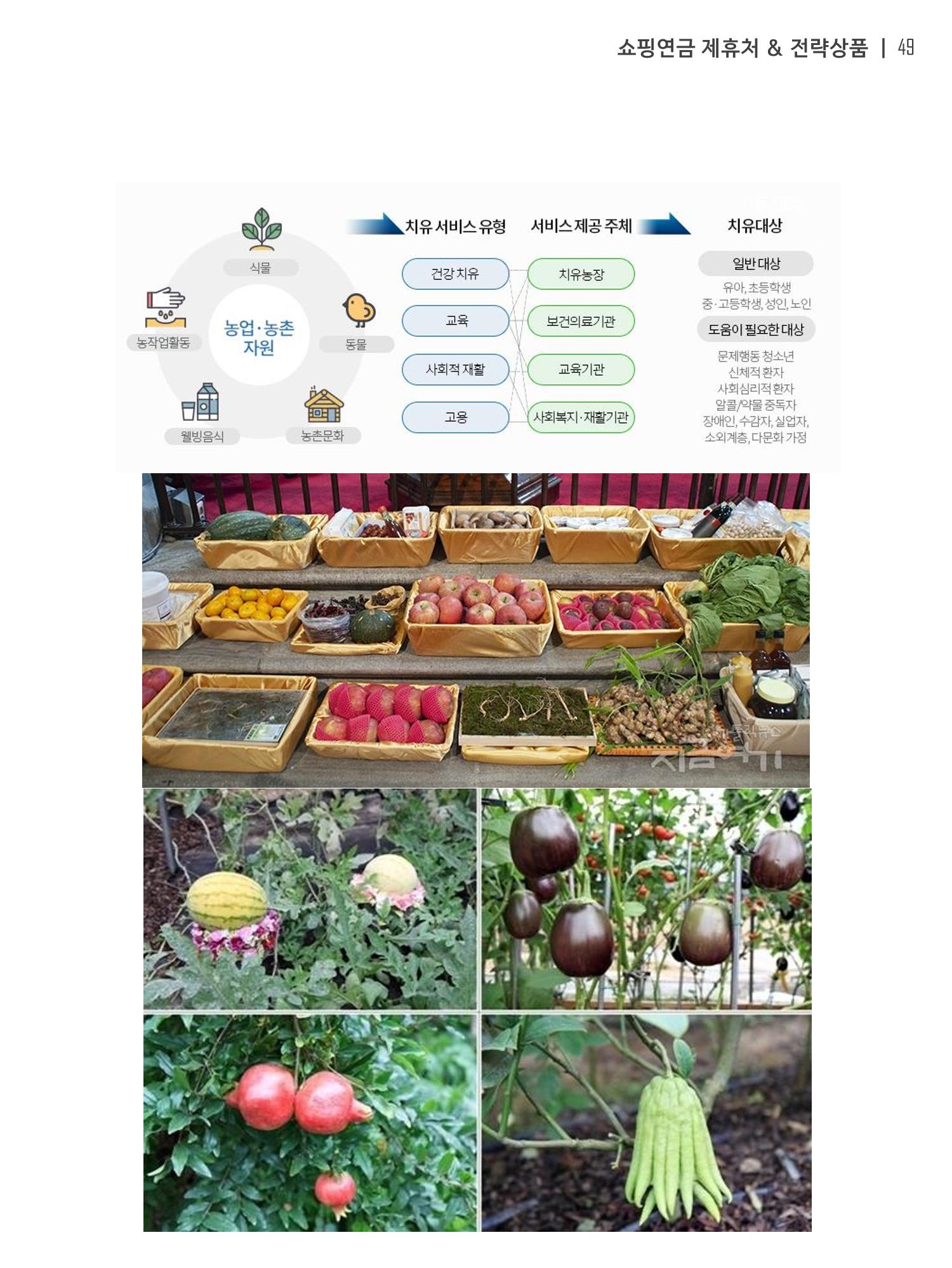 쇼핑연금백서 49페이지