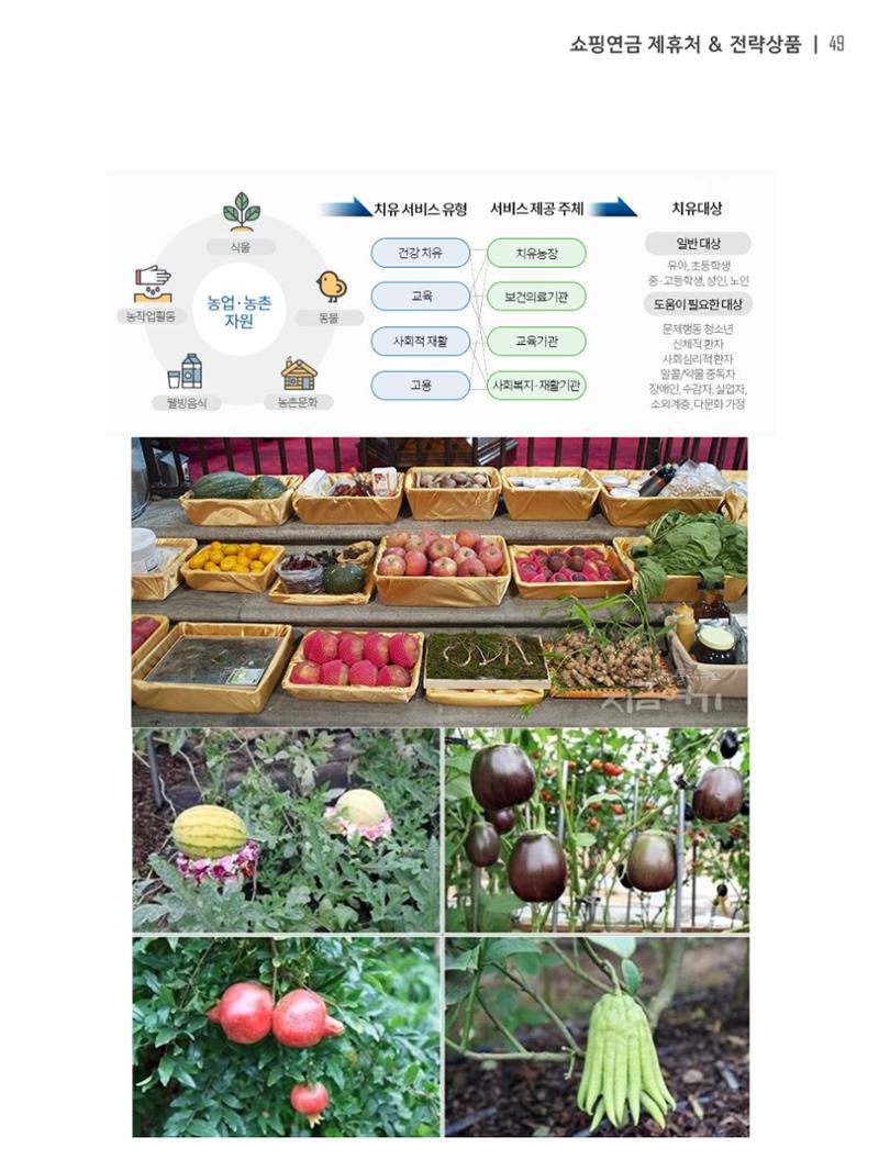 쇼핑연금백서 49페이지