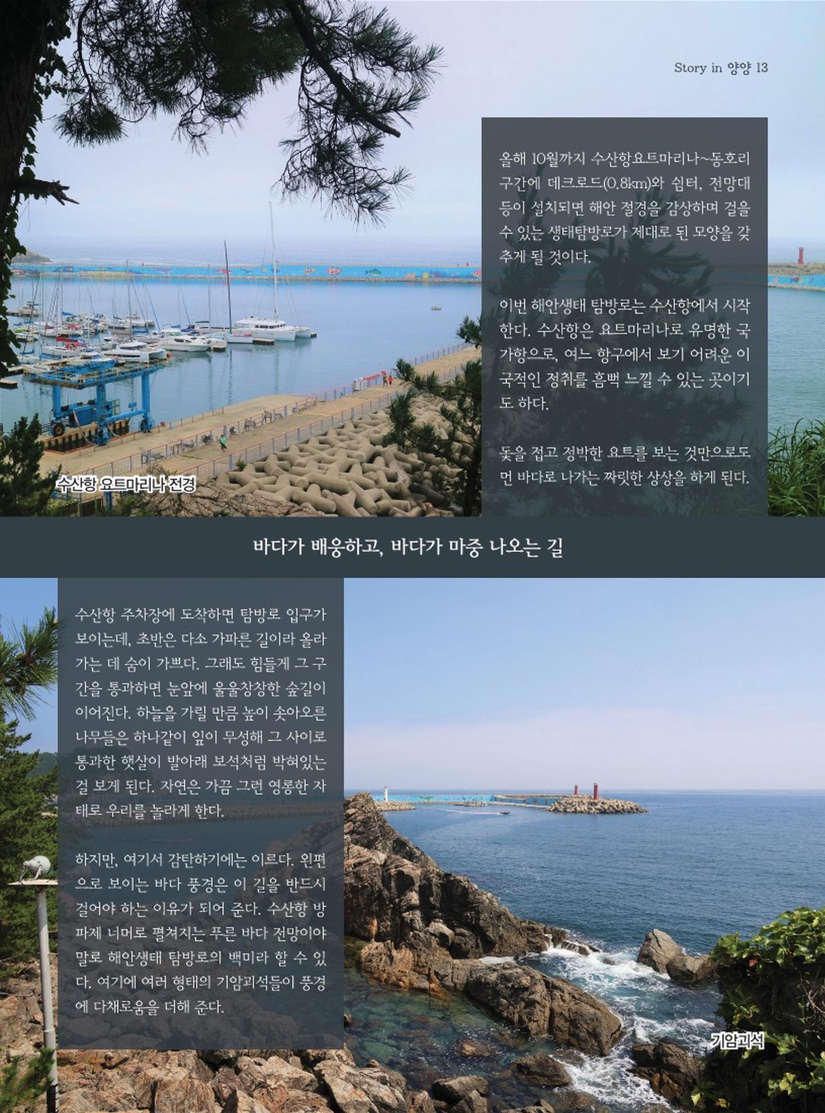 양양소식지 2023. 9월호 13페이지