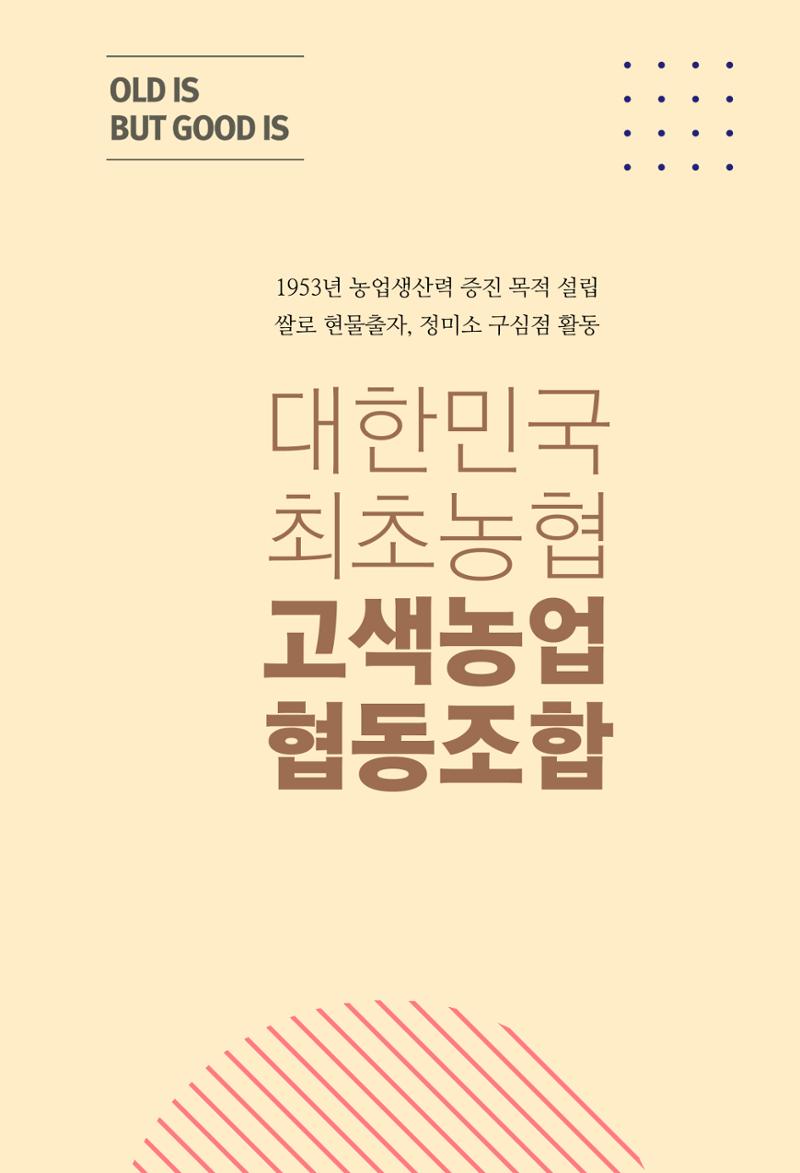 평동 마을이야기 39페이지