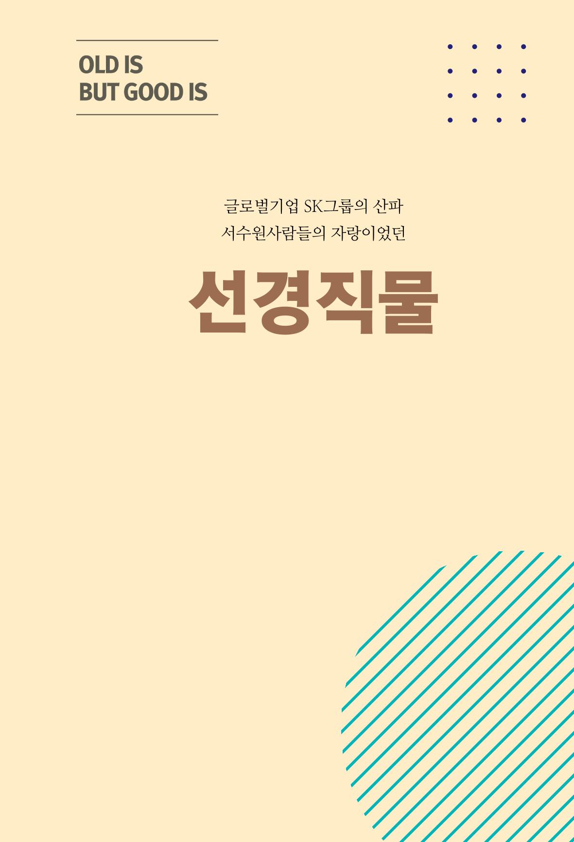 평동 마을이야기 43페이지