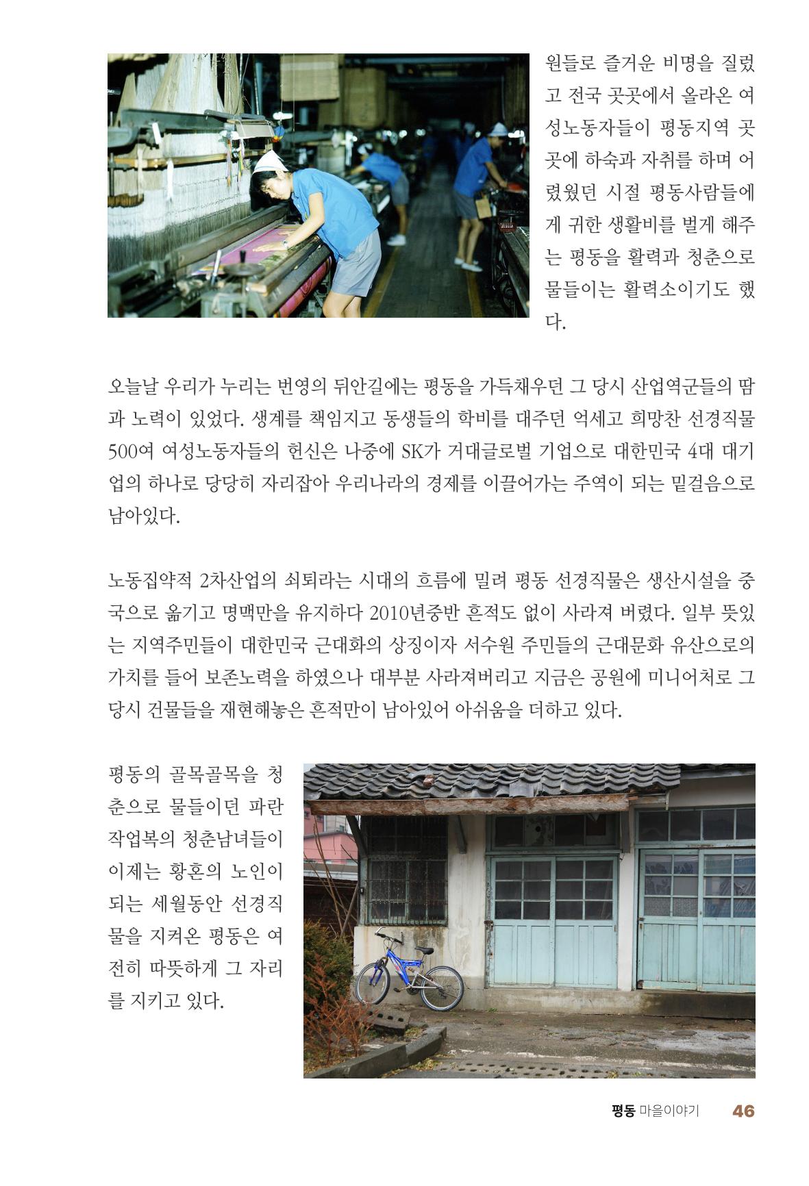 평동 마을이야기 45페이지