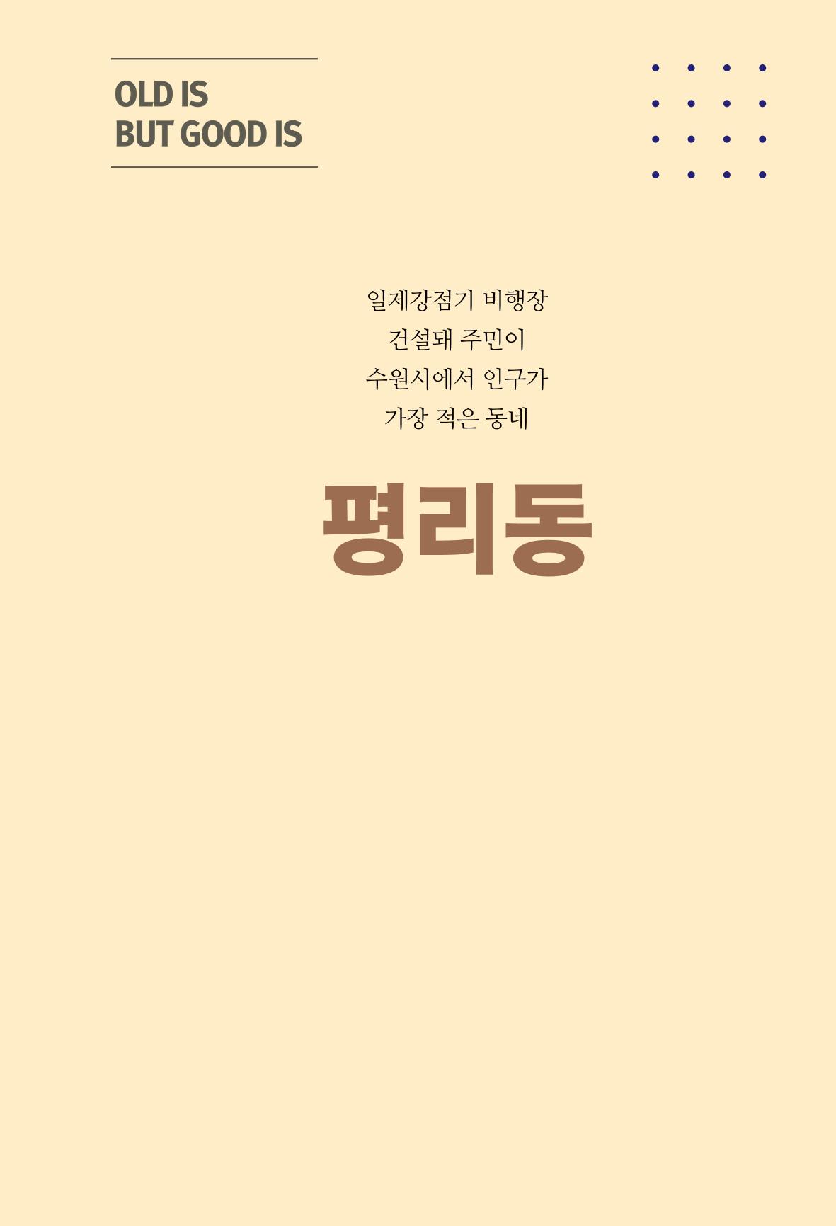 평동 마을이야기 47페이지