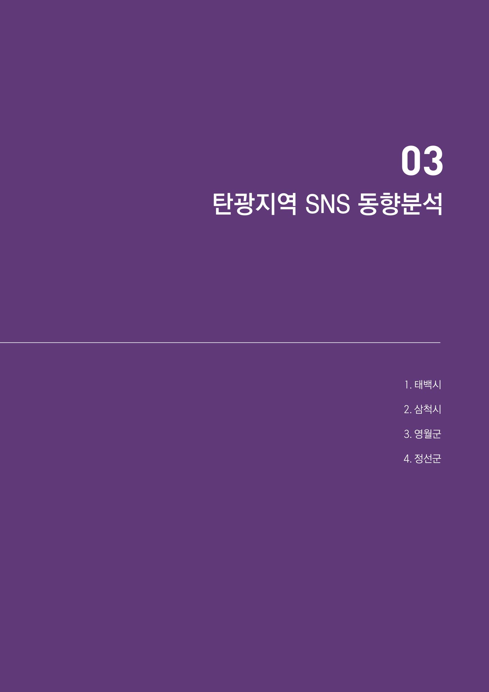 2022탄광지역 SNS트렌드 보고서 30페이지