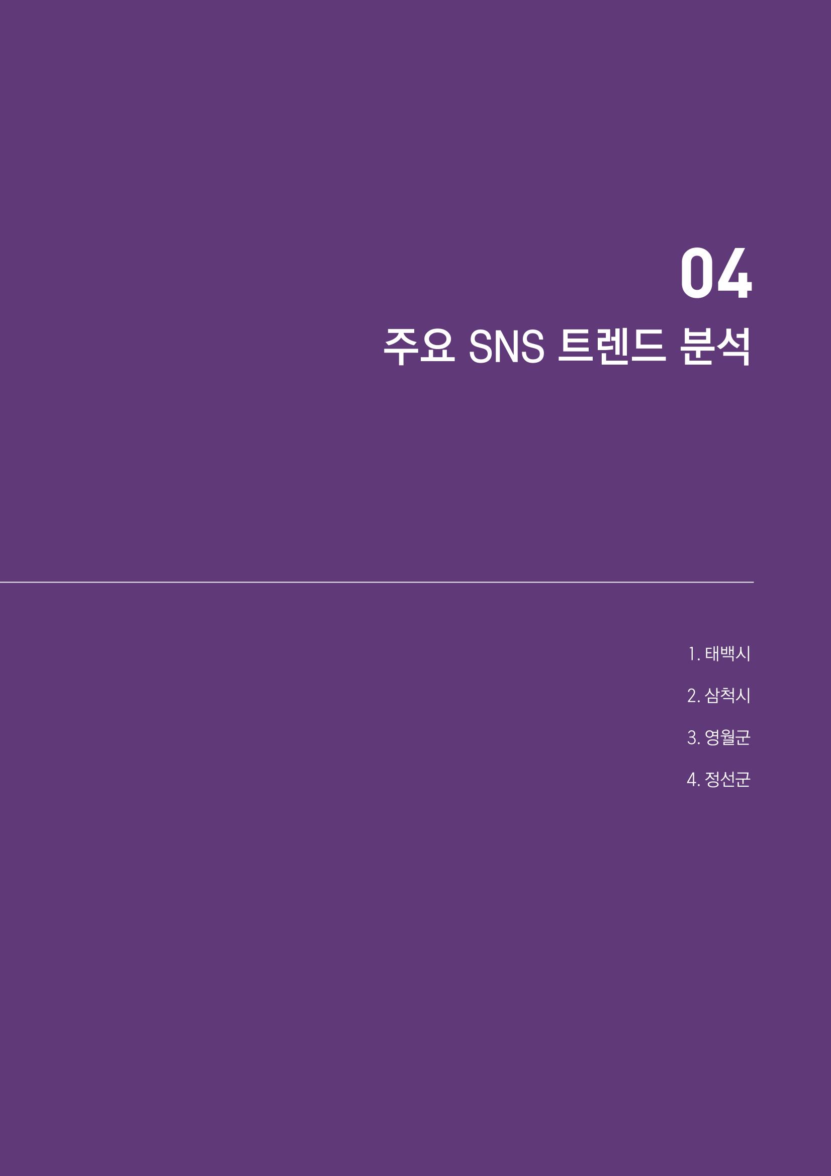 2022탄광지역 SNS트렌드 보고서 40페이지