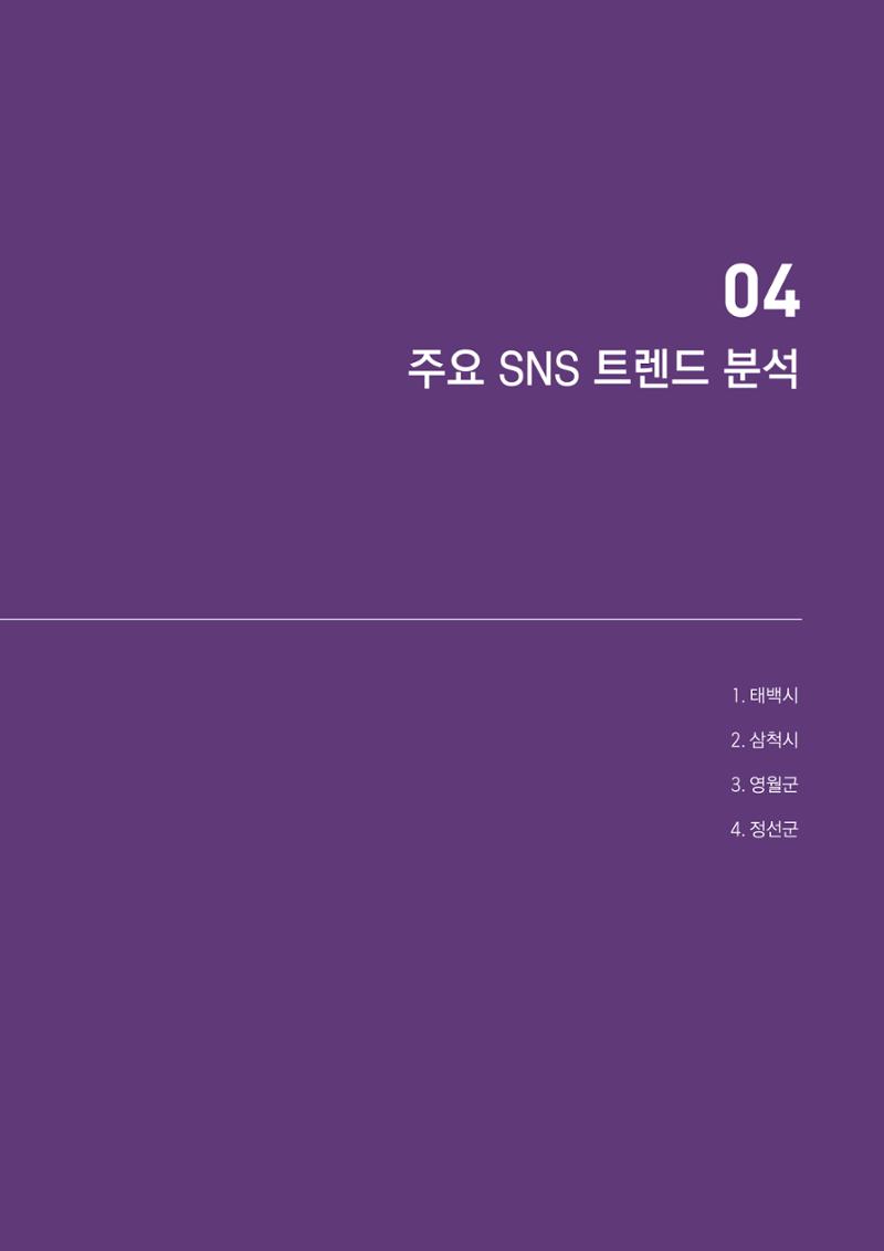 2022탄광지역 SNS트렌드 보고서 40페이지