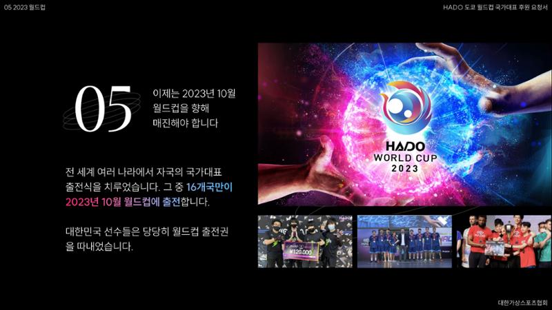 HADO월드컵국가대표 스폰서십 40페이지