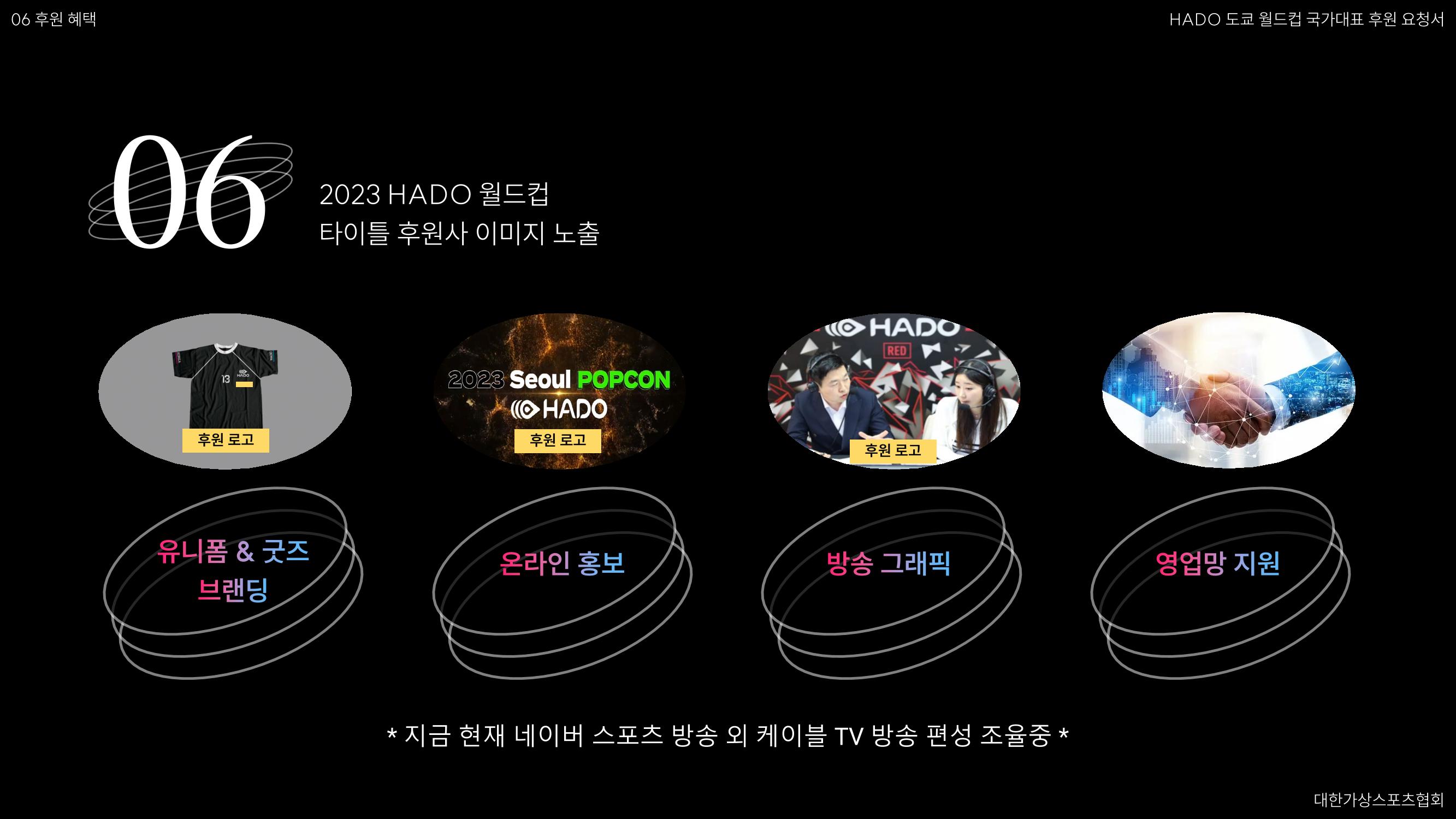 HADO월드컵국가대표 스폰서십 49페이지