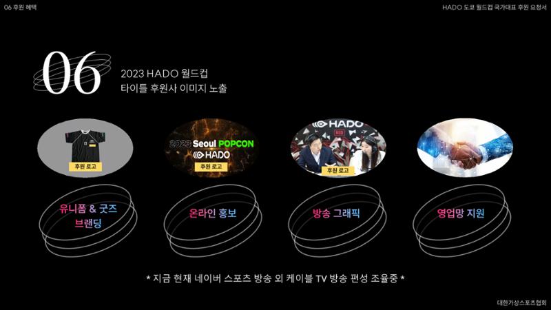 HADO월드컵국가대표 스폰서십 49페이지
