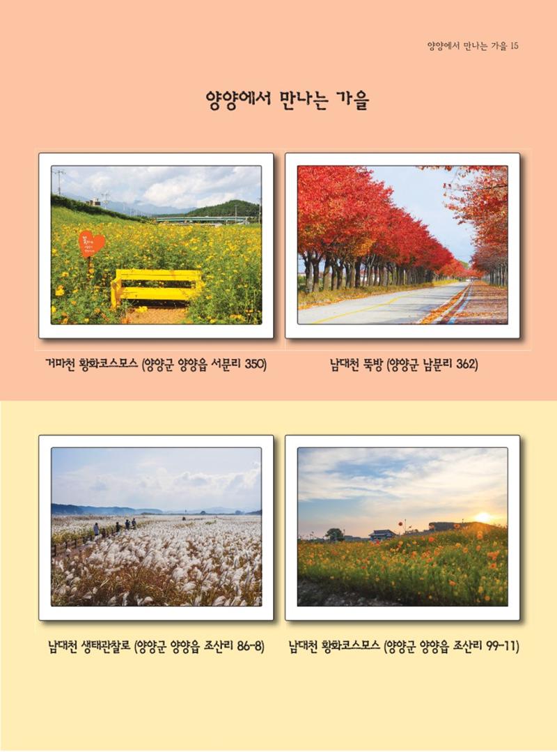 양양소식지 2023. 10월호 15페이지
