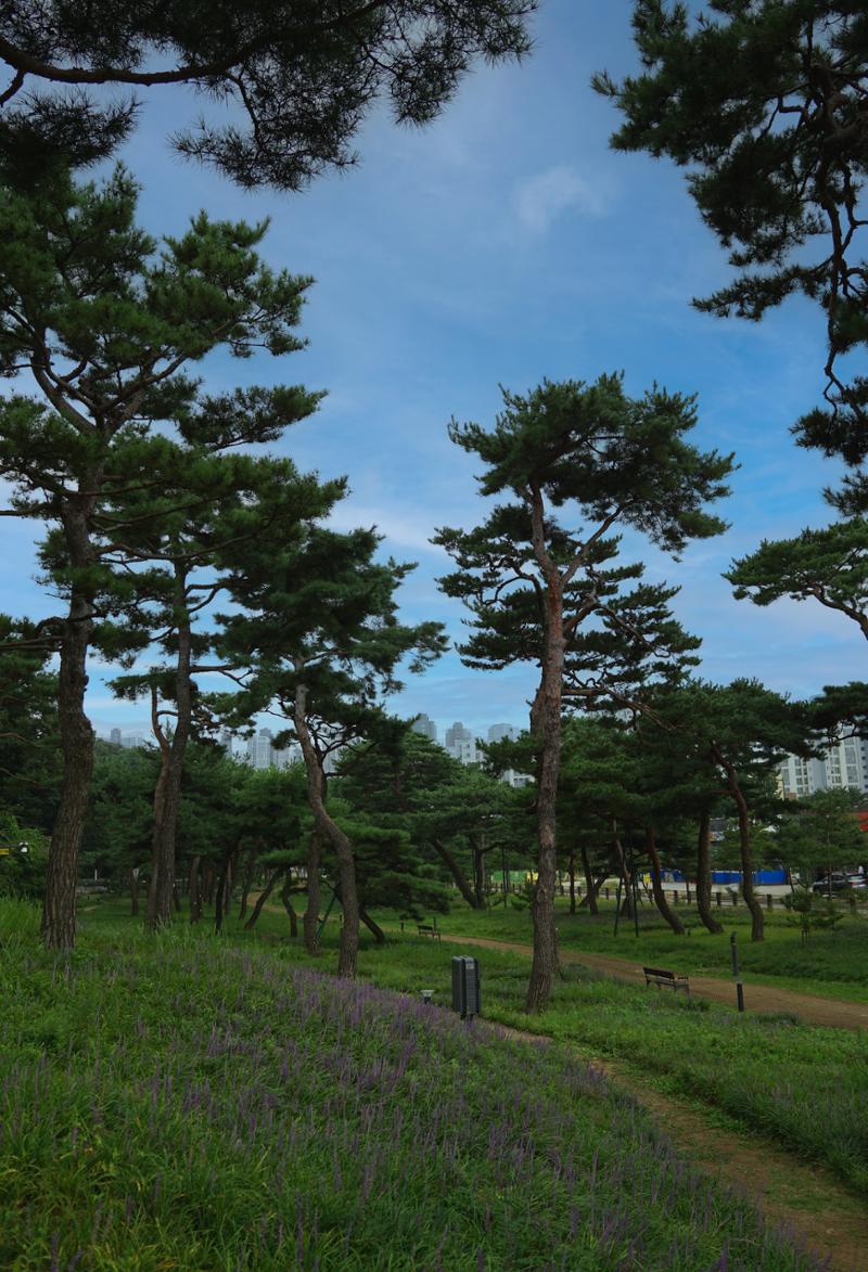 파장동 마을이야기 6페이지