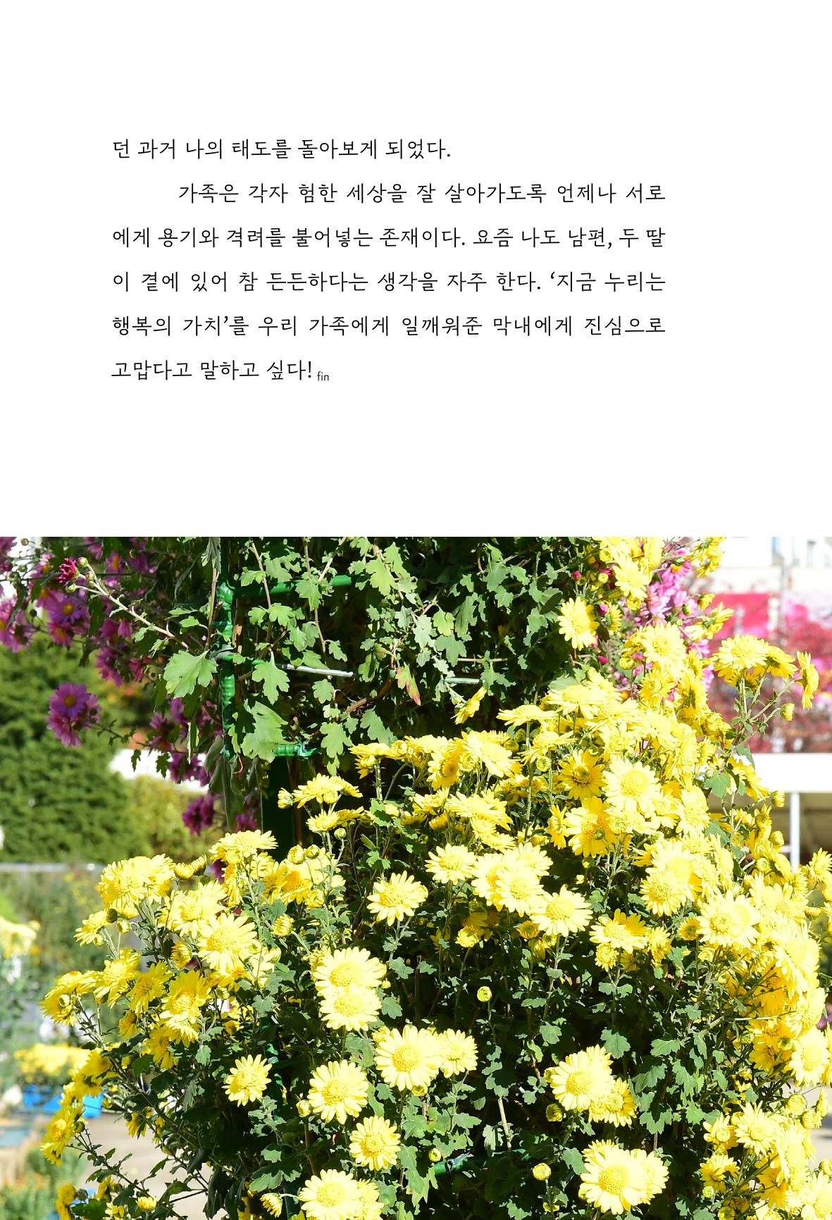 망포2동 마을이야기: 함께 걷는 망포2동 24페이지