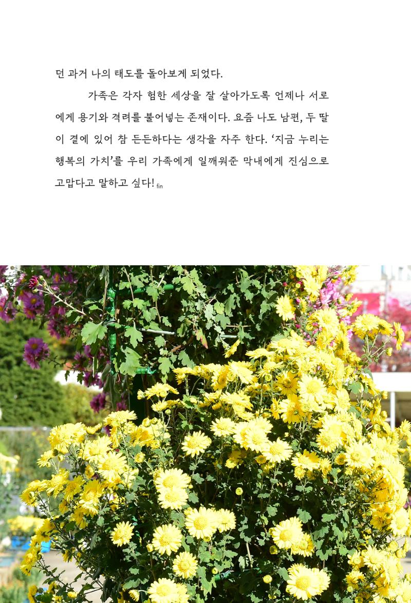 망포2동 마을이야기: 함께 걷는 망포2동 24페이지