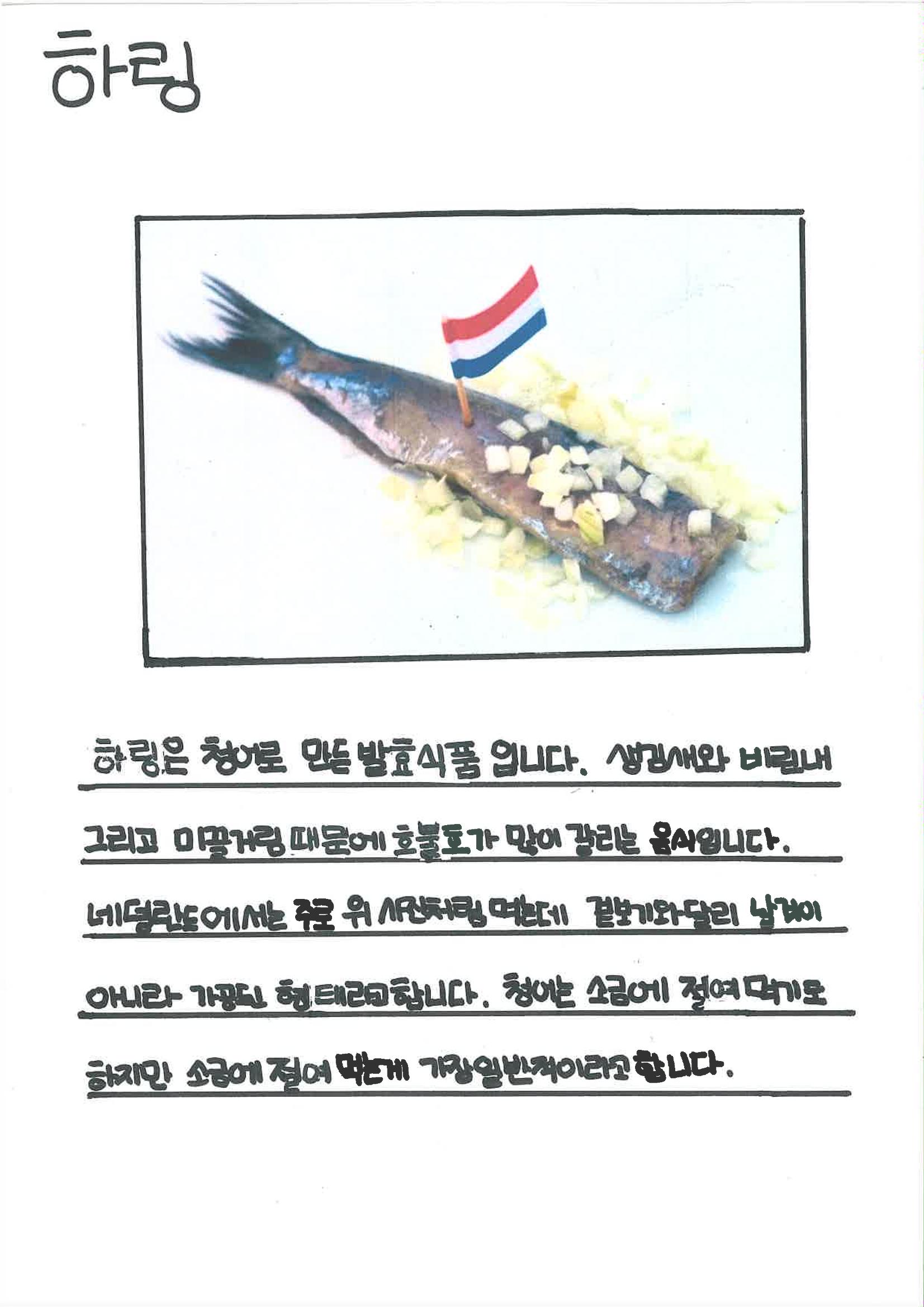 세계의 다양한 음식 16페이지