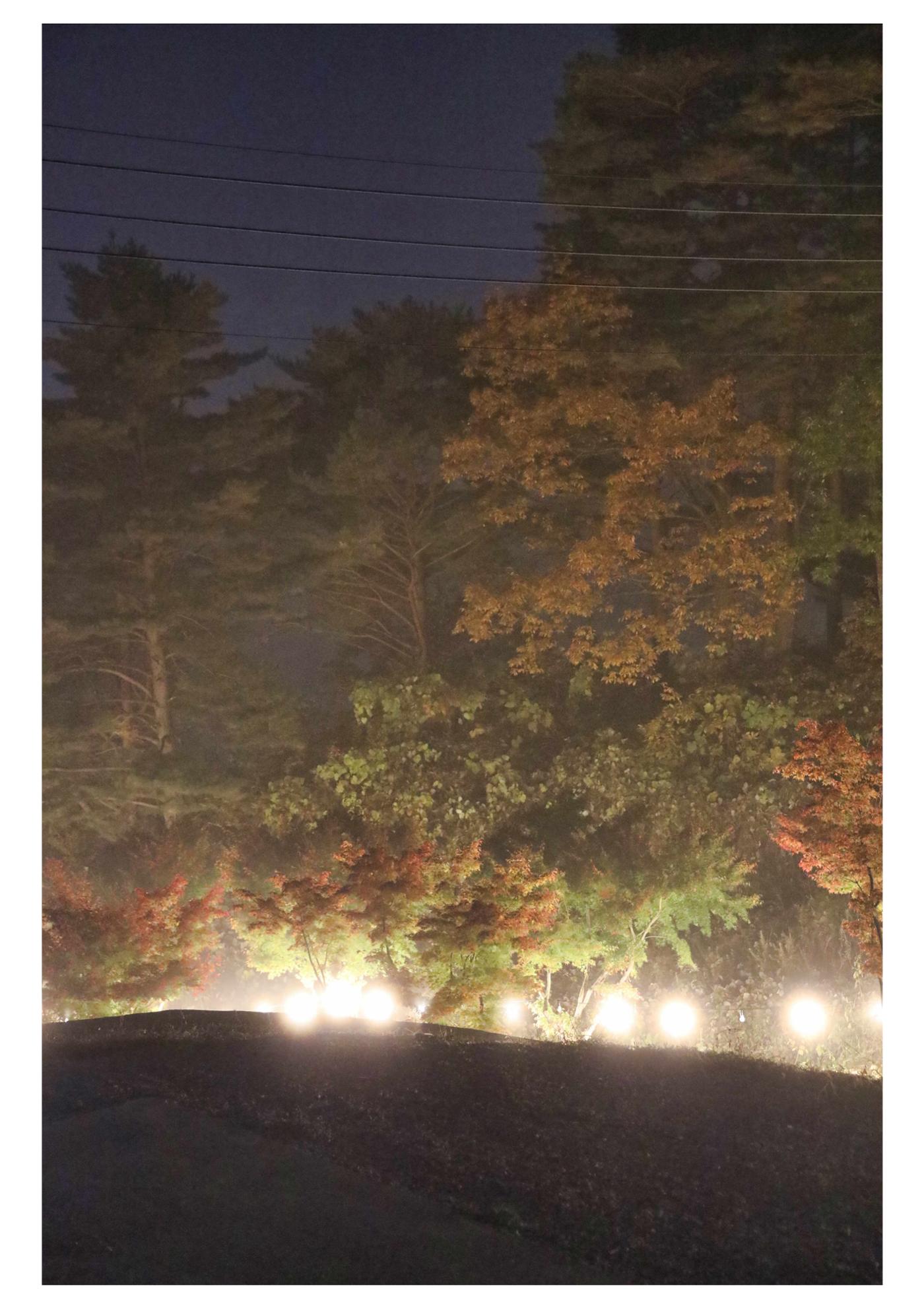 진동리국민여가캠핑장 티네이처캠프 7 43페이지
