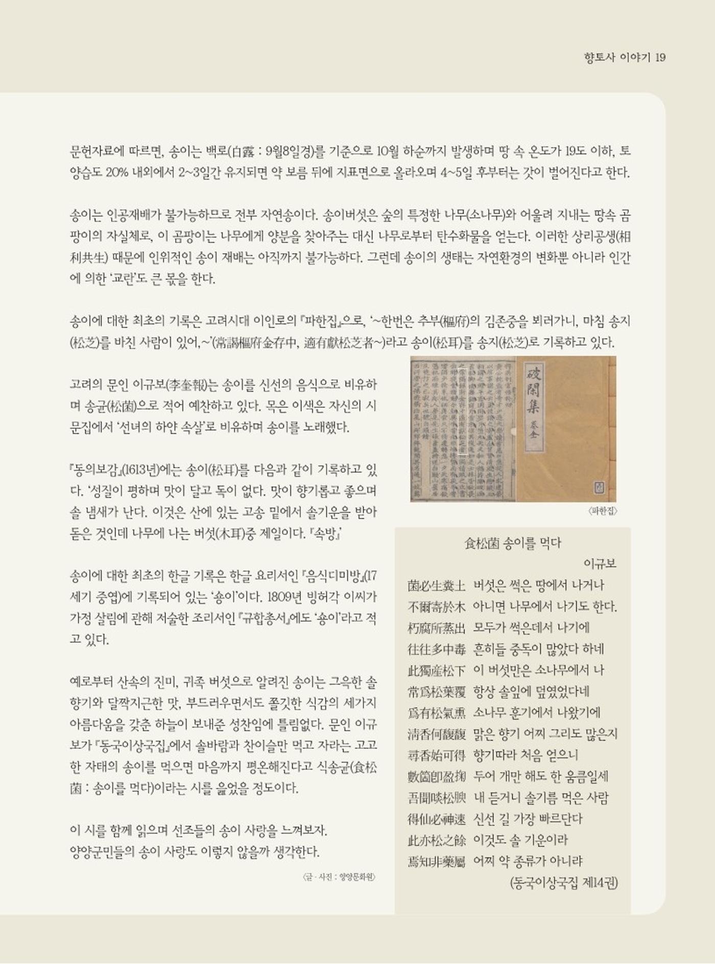 양양소식지 2023. 11월호 19페이지