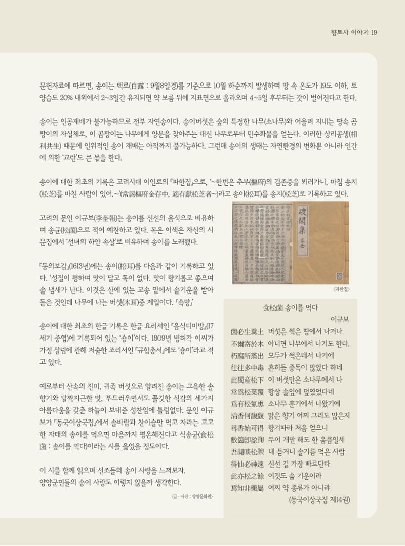 양양소식지 2023. 11월호 19페이지