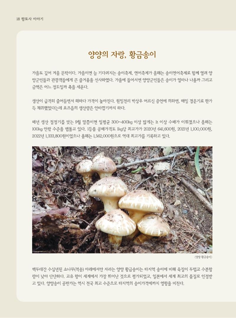 양양소식지 2023. 11월호 18페이지