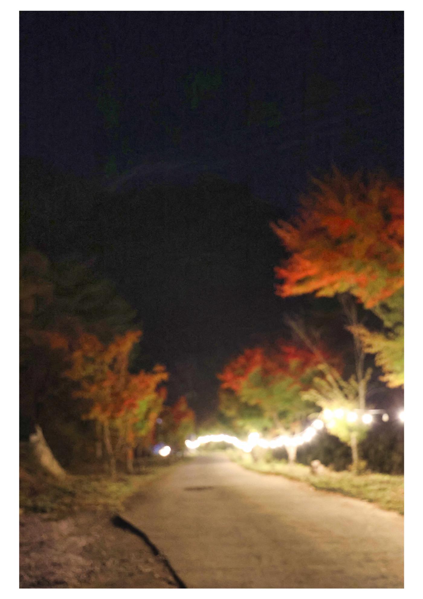 진동리국민여가캠핑장 티네이처캠프 4 16페이지