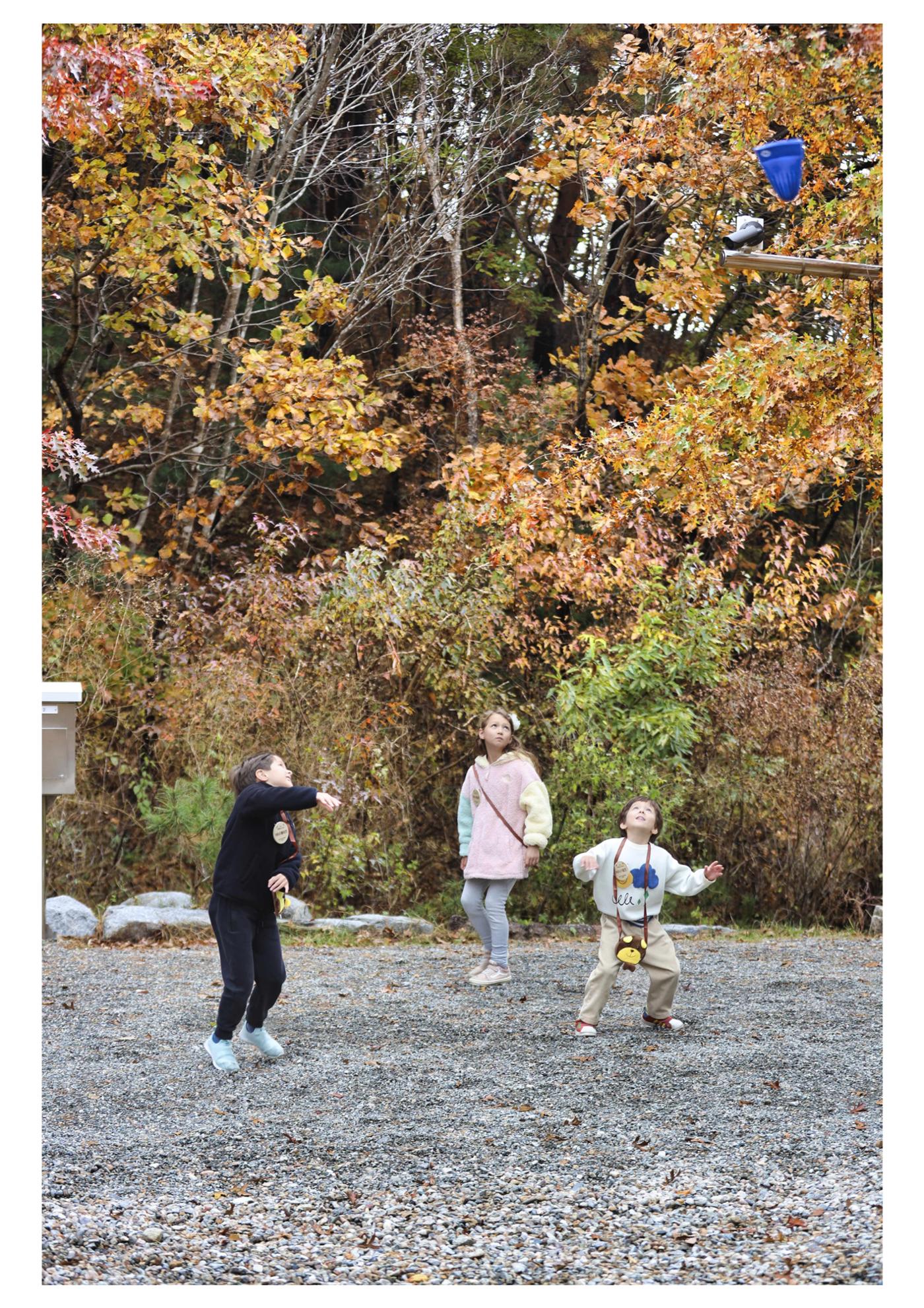 진동리국민여가캠핑장 티네이처 12 25페이지
