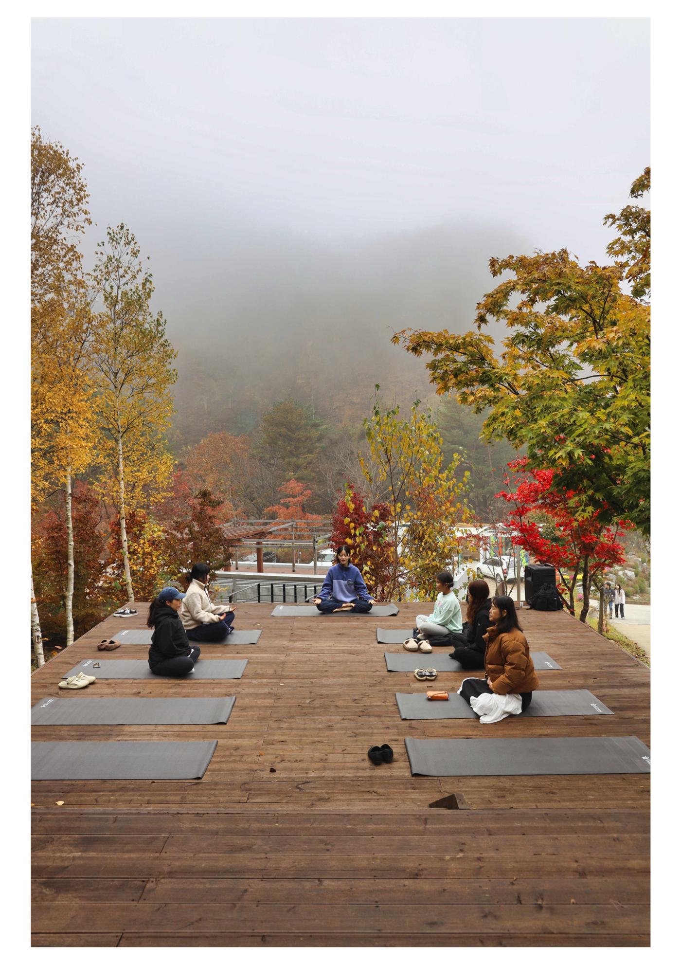진동리국민여가캠핑장 티네이처 12 2페이지