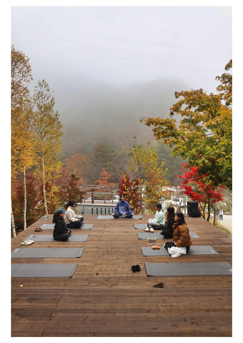 진동리국민여가캠핑장 티네이처 12 2페이지