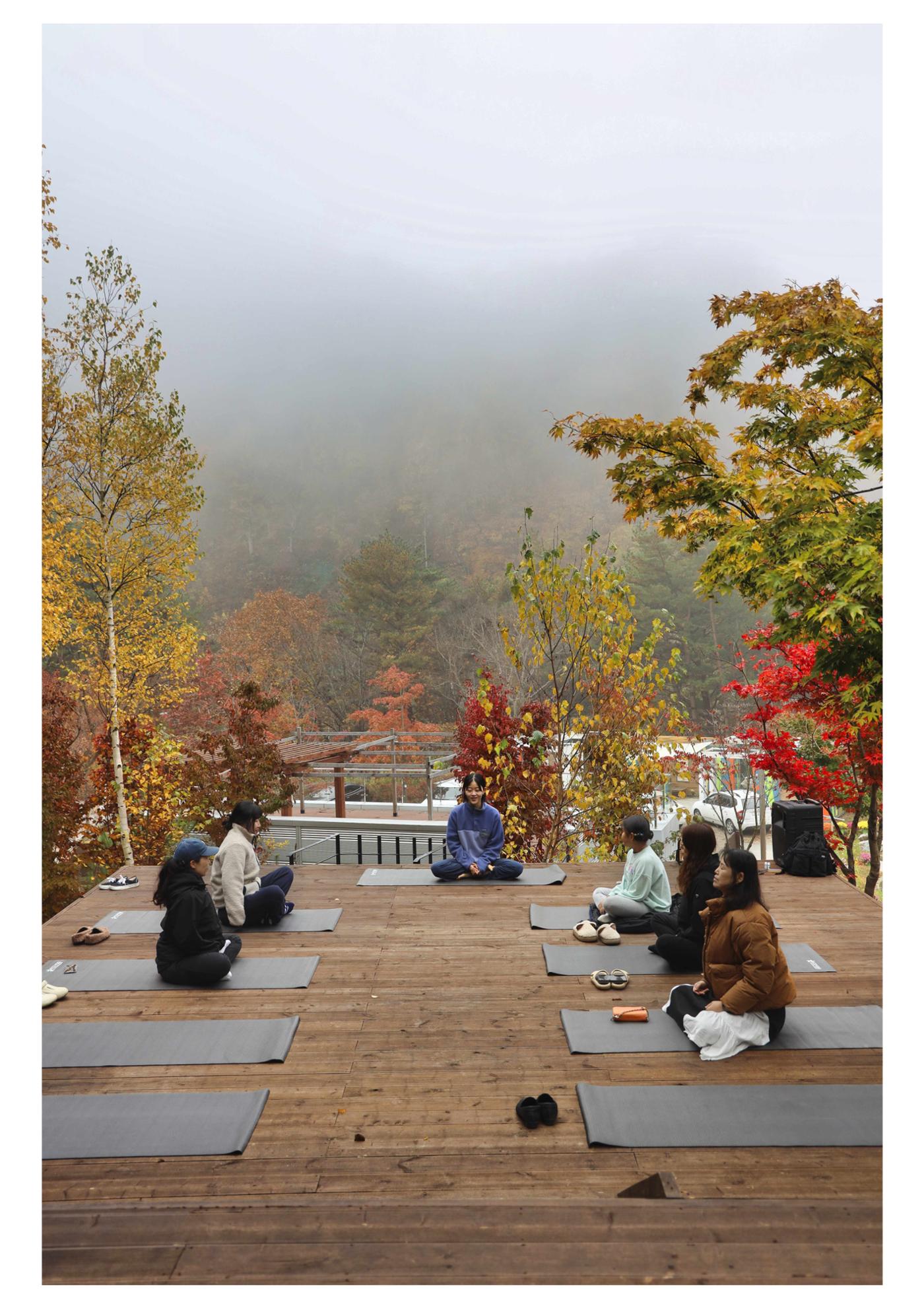 진동리국민여가캠핑장 티네이처 12 1페이지
