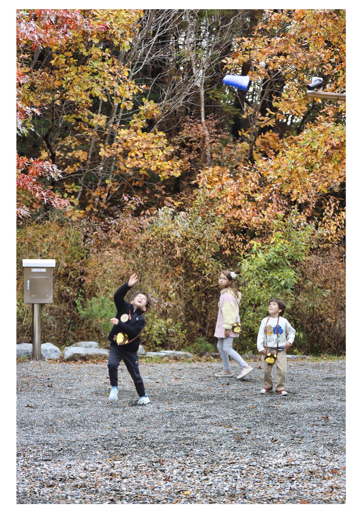 진동리국민여가캠핑장 티네이처 12 24페이지