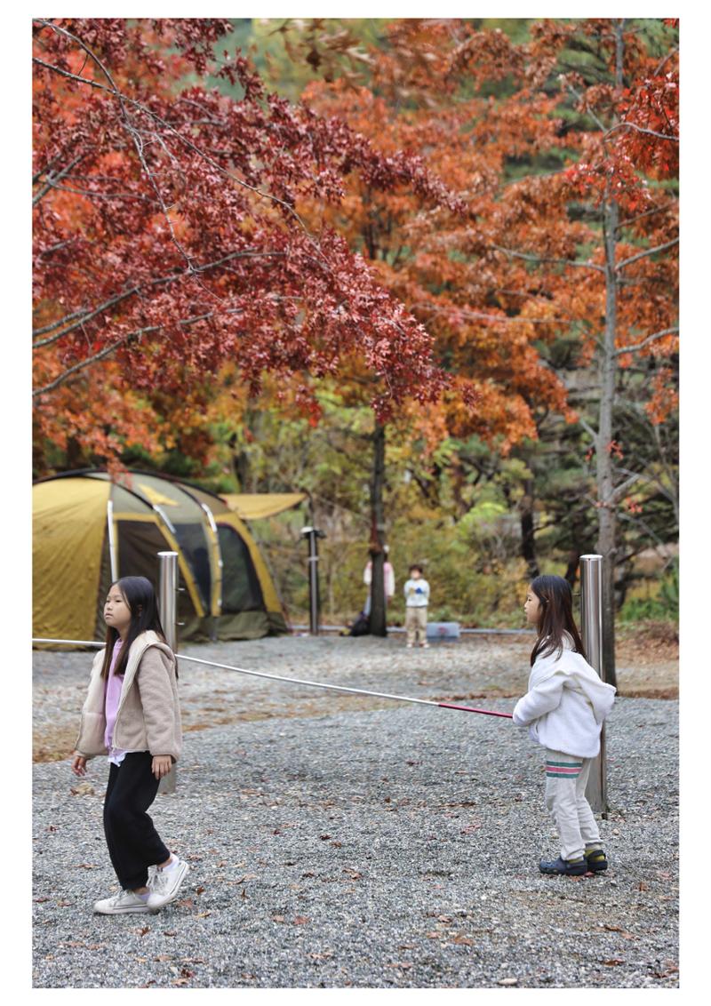 진동리국민여가캠핑장 티네이처캠프 1 58페이지