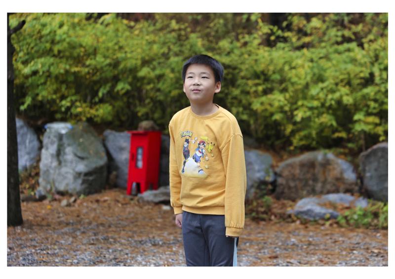 진동리국민여가캠핑장 티네이처캠프 1 50페이지