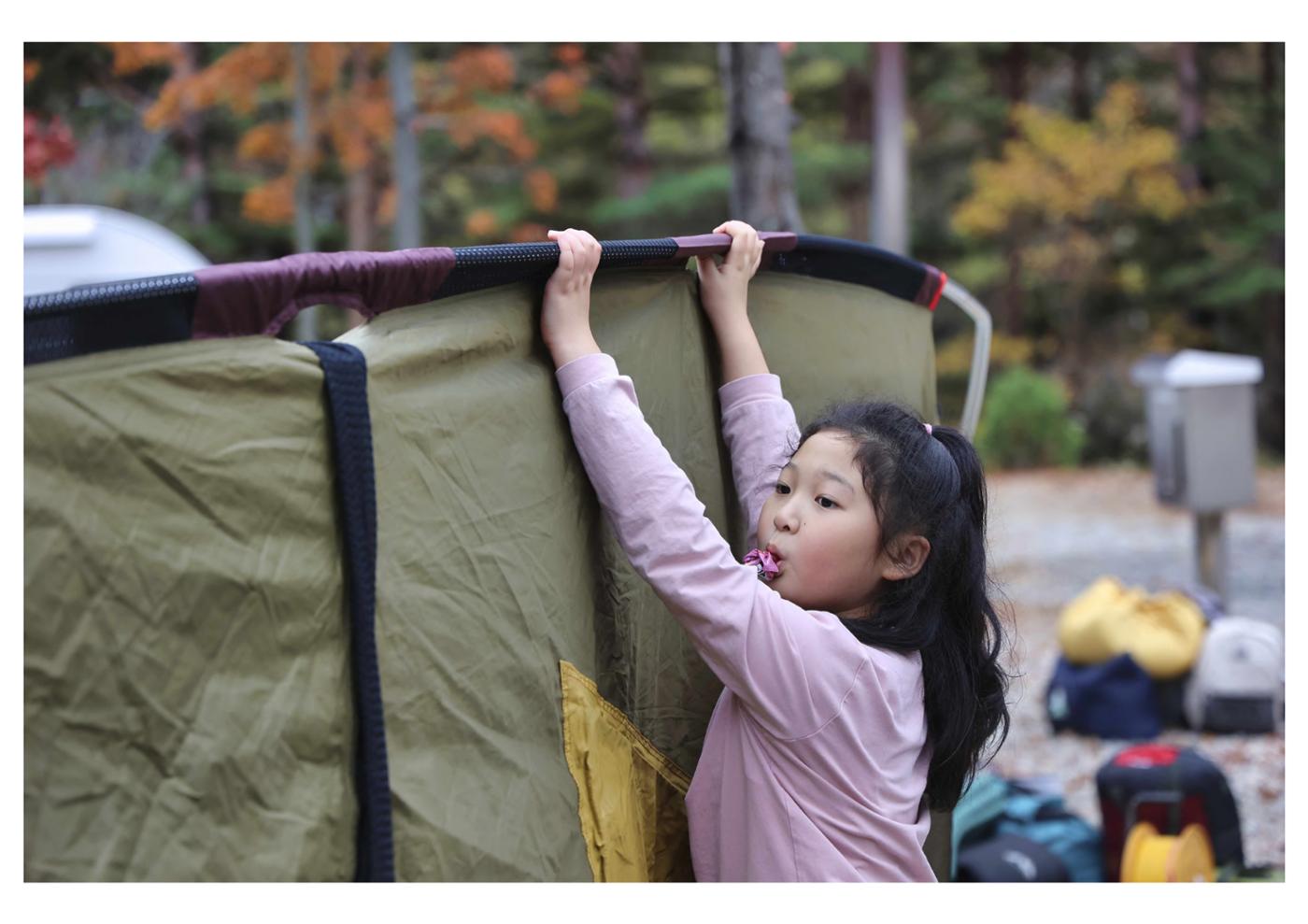 진동리국민여가캠핑장 티네이처캠프 1 64페이지