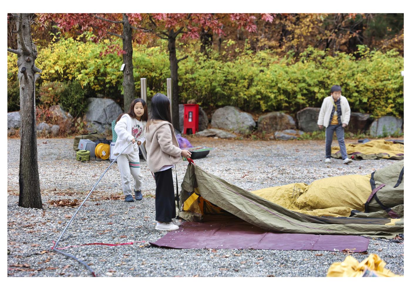 진동리국민여가캠핑장 티네이처캠프 1 60페이지
