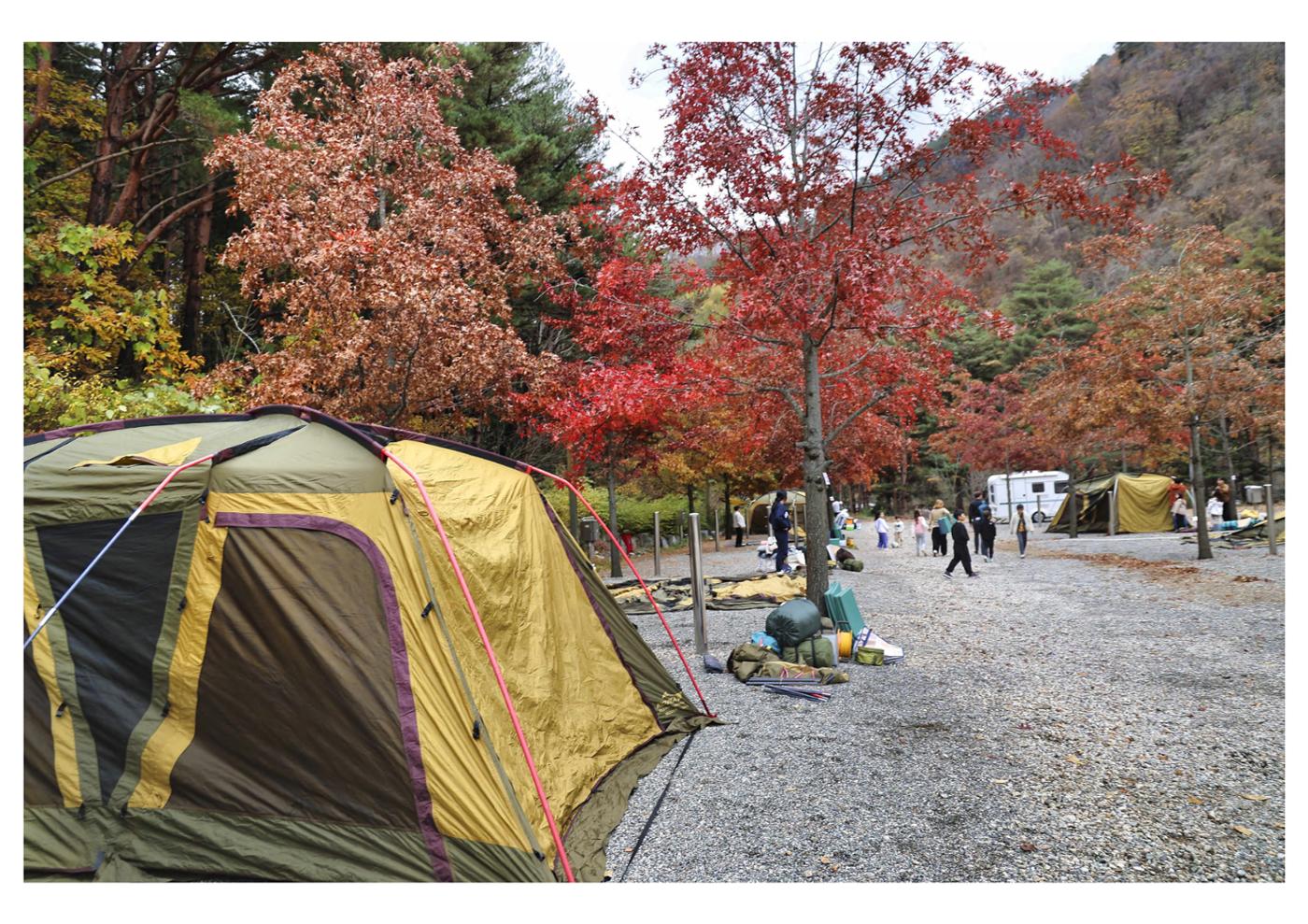 진동리국민여가캠핑장 티네이처캠프 1 66페이지
