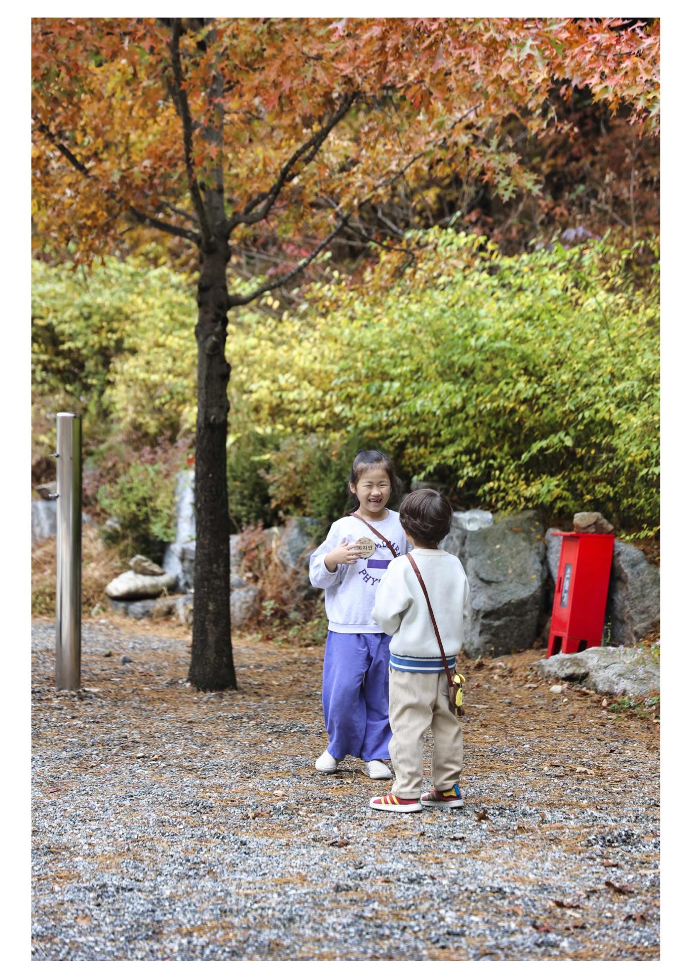 진동리국민여가캠핑장 티네이처캠프 1 36페이지