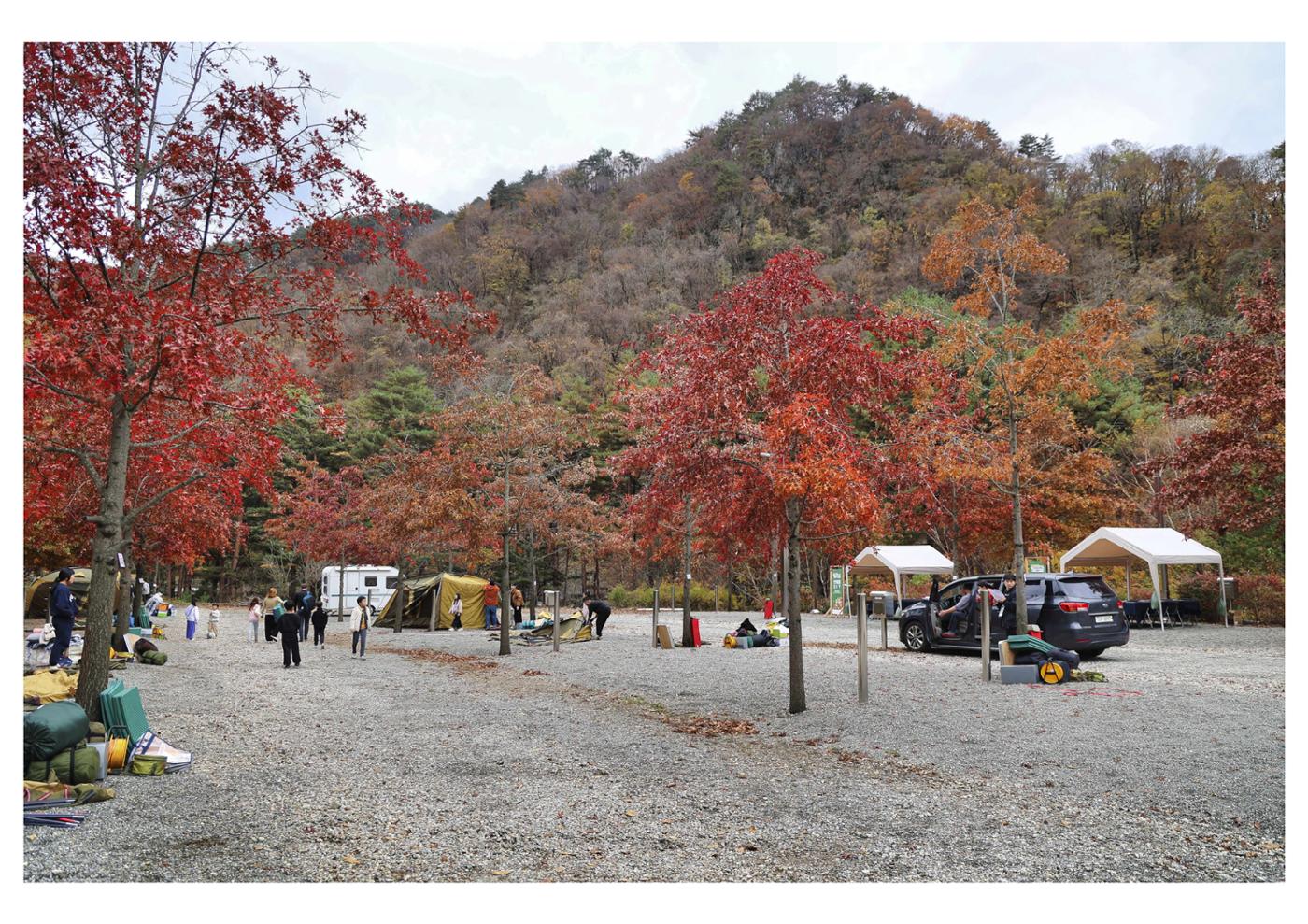 진동리국민여가캠핑장 티네이처캠프 1 67페이지